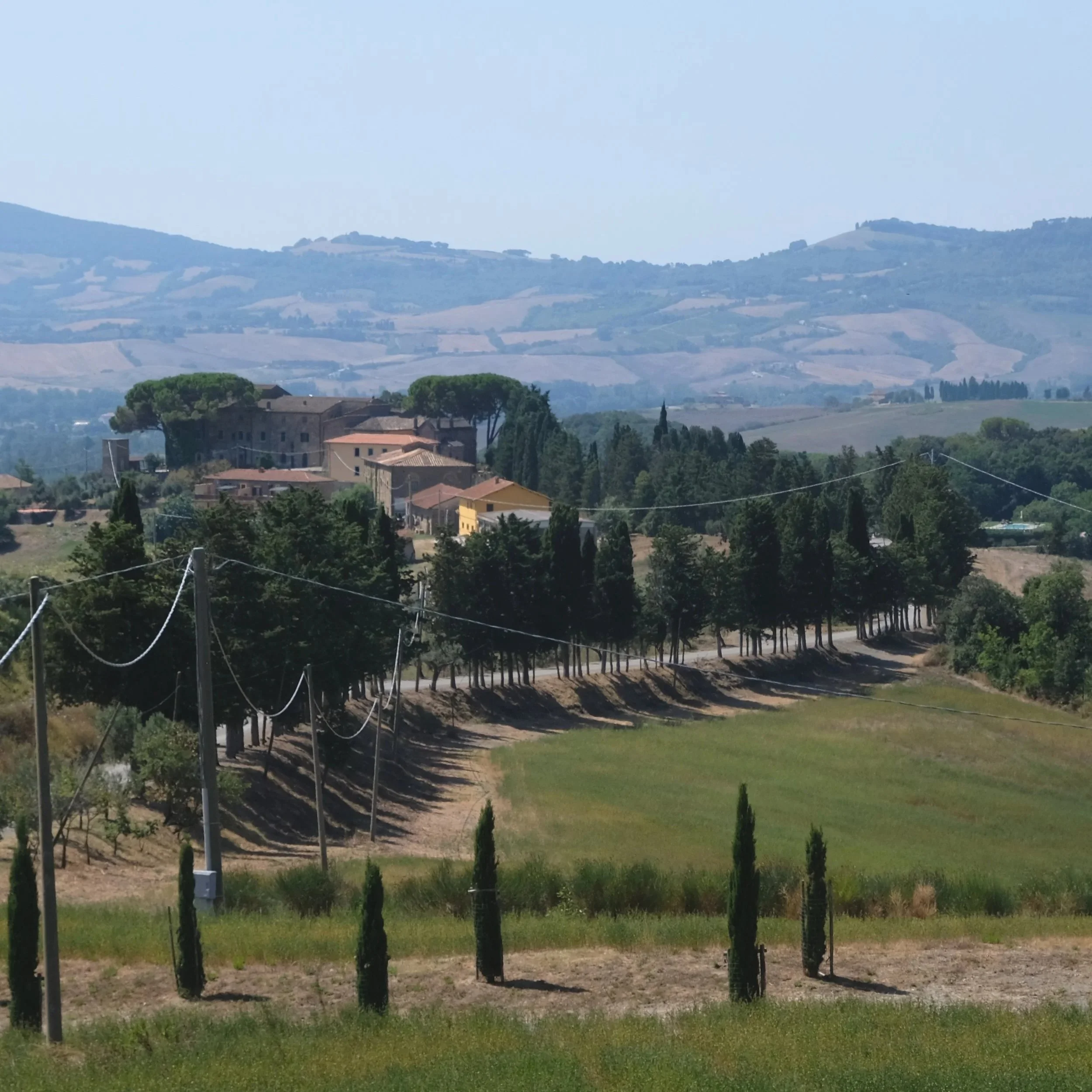 Tenuta+-1.jpg