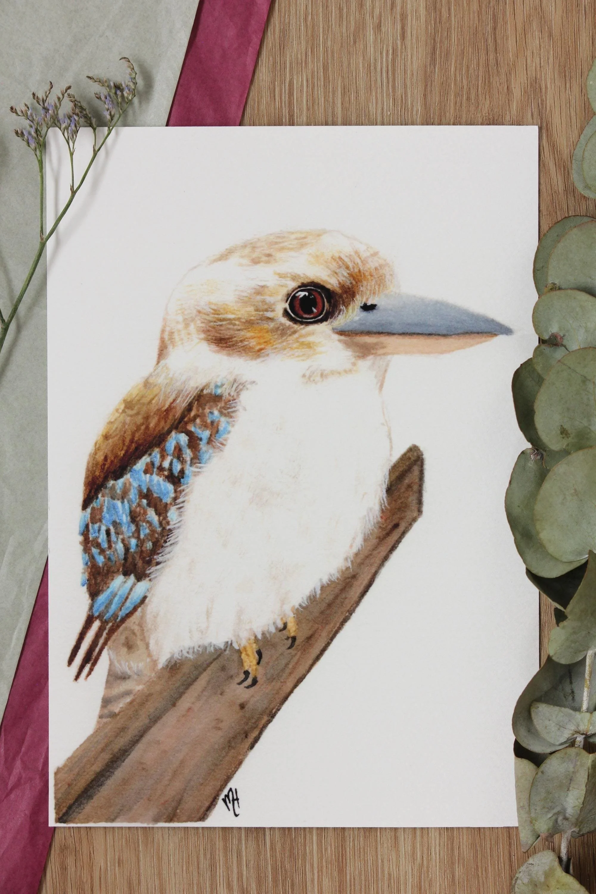 Kookaburra Art Print - Australian Wildlife Art