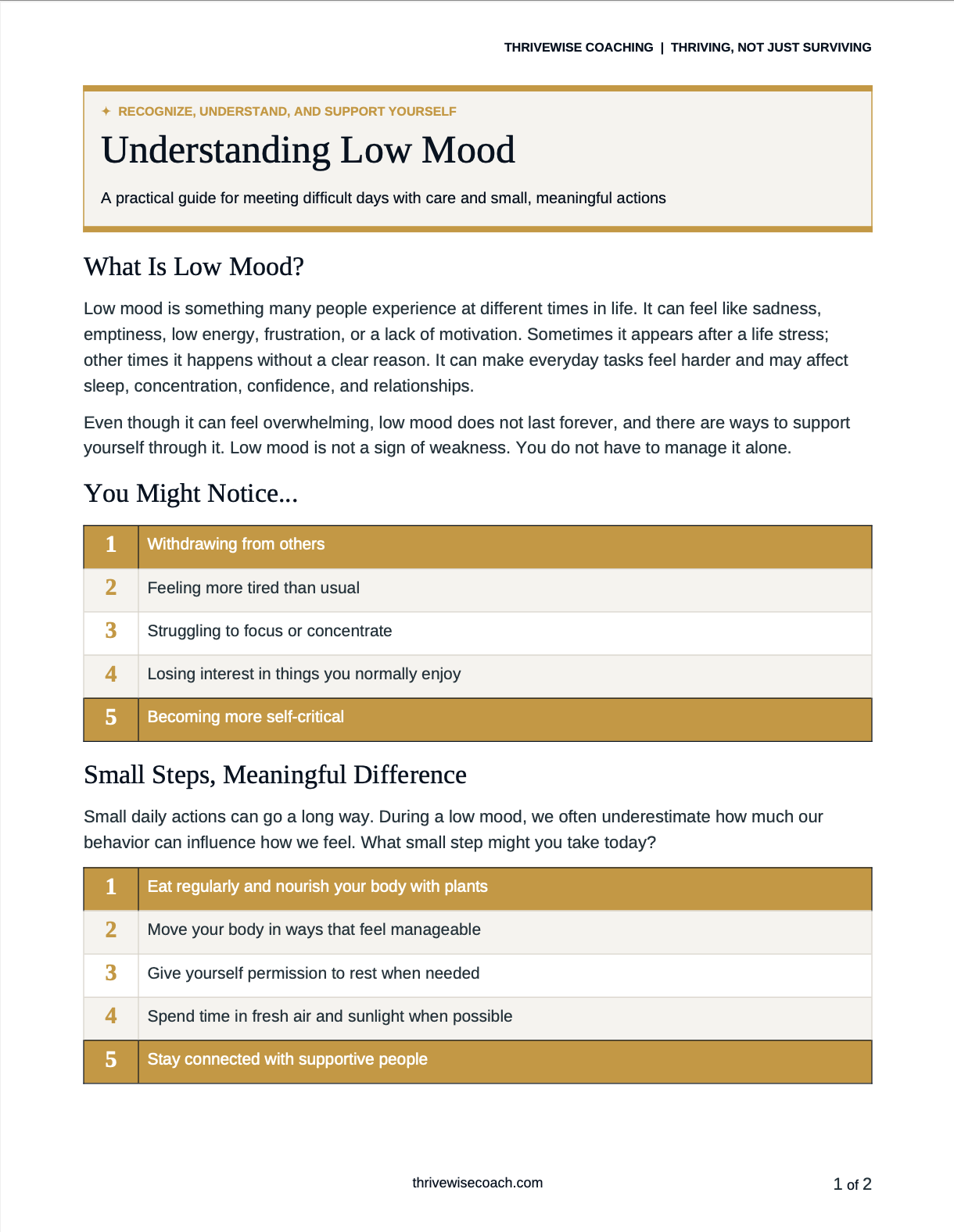 Understanding Low Mood