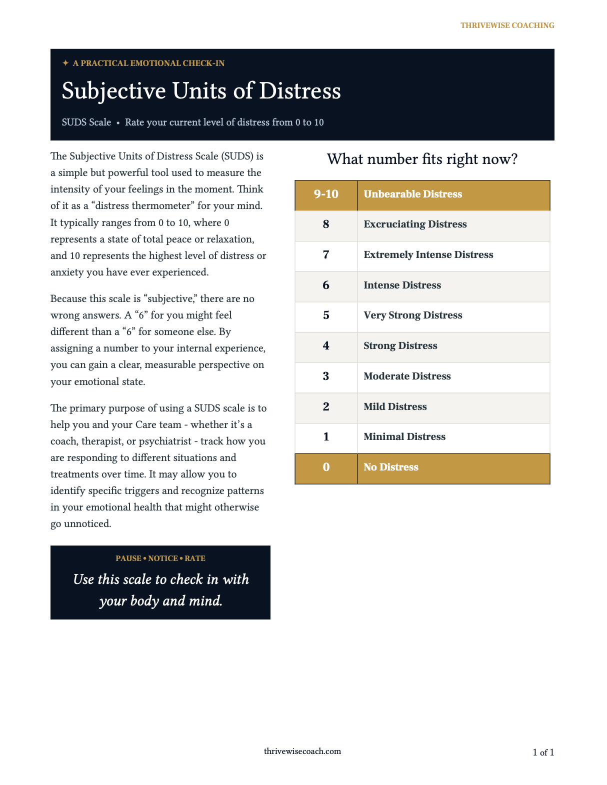 SUDS: Subjective Units of Distress Scale