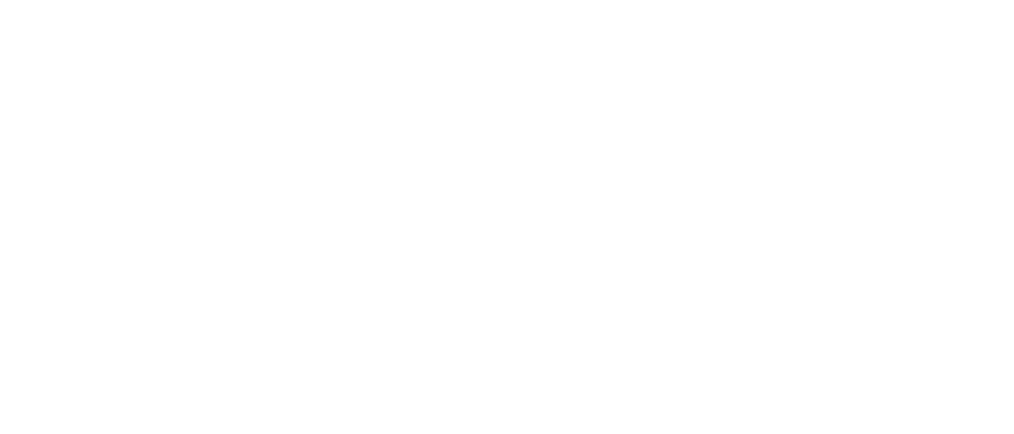 The Brar Group Inc