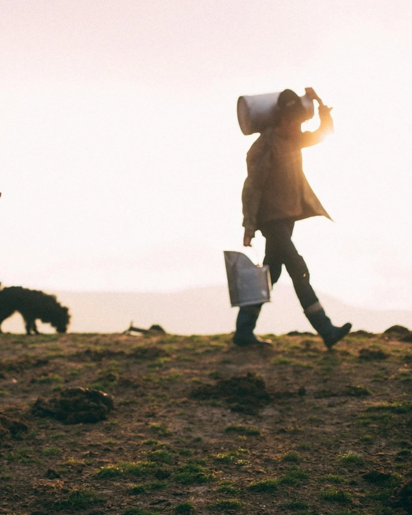 DNC : la procédure d’ATU est-elle adaptée à une politique sanitaire contraignante ?