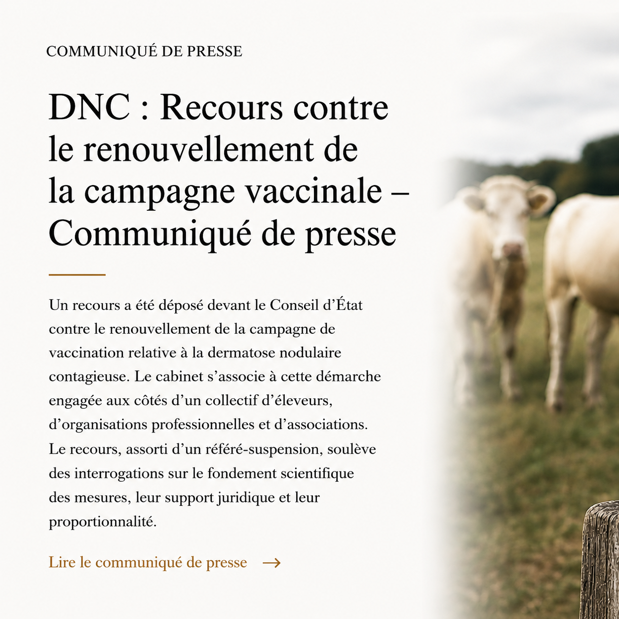 DNC : Recours contre le renouvellement de la campagne 2026 – Communiqué de presse