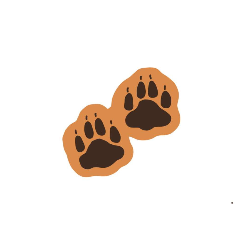 Cartoon illustration of two dog paw prints on a black background.