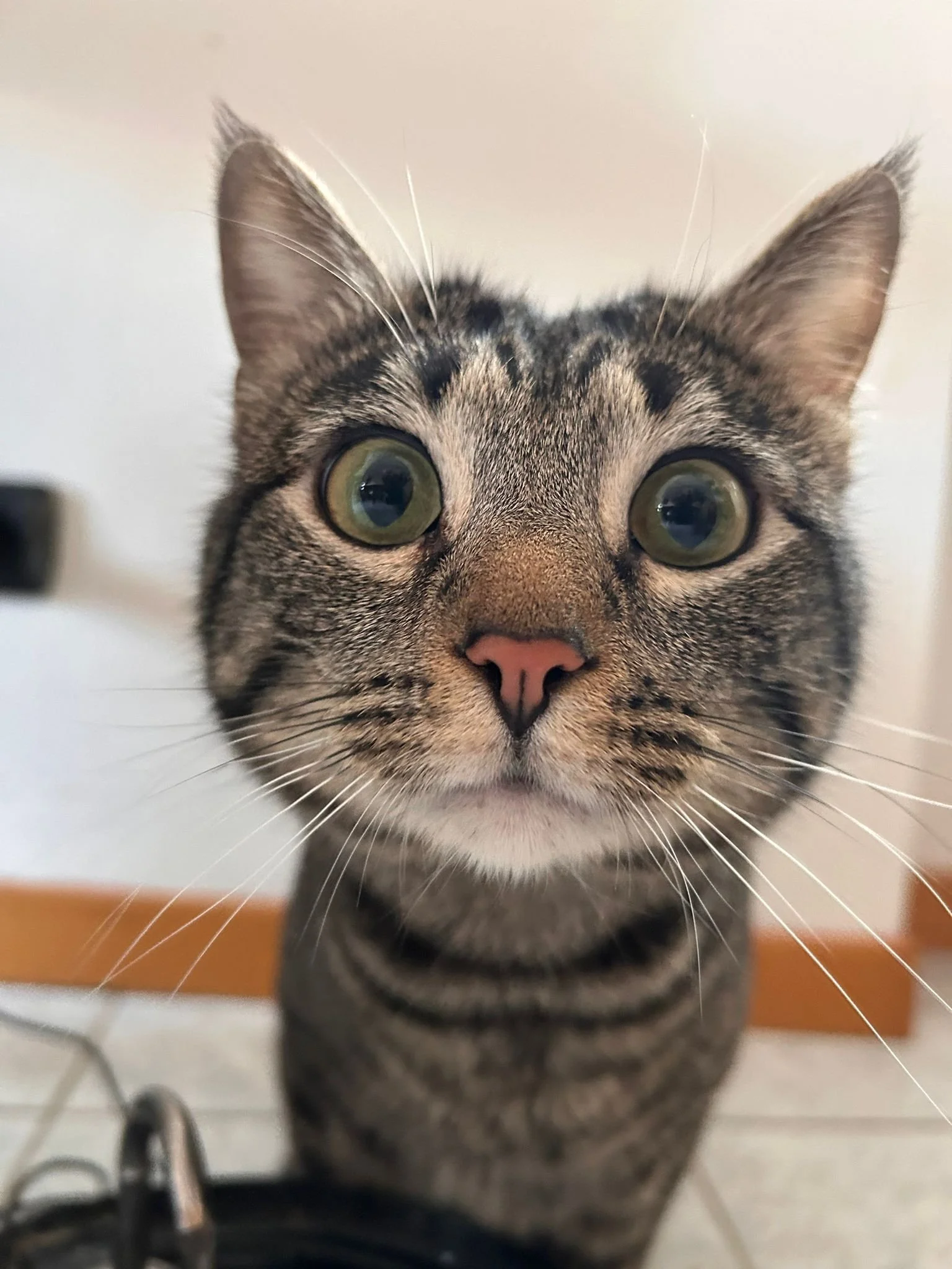 Benvenuto 2026: nuovi inizi, tante fusa e ancora AMORE