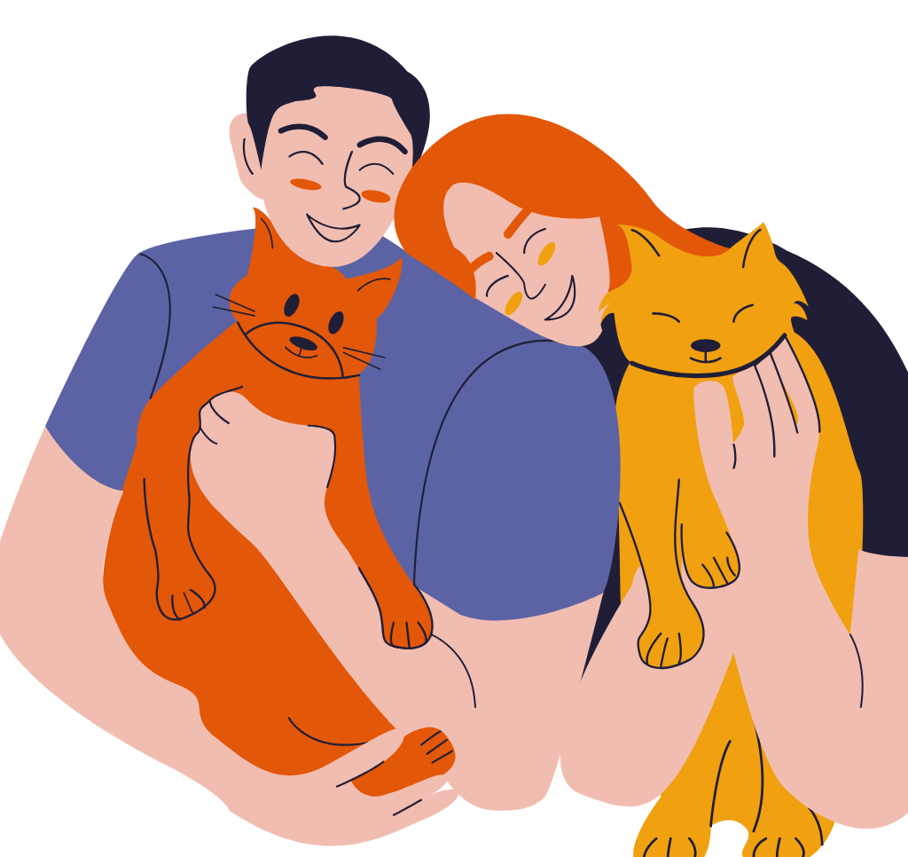 Come adottare un gatto con l’associazione romeo