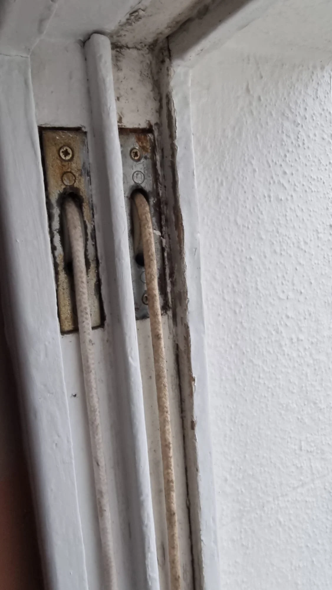 WhatsApp Image 2026-01-17 at 9.09.00 PM (7).jpeg