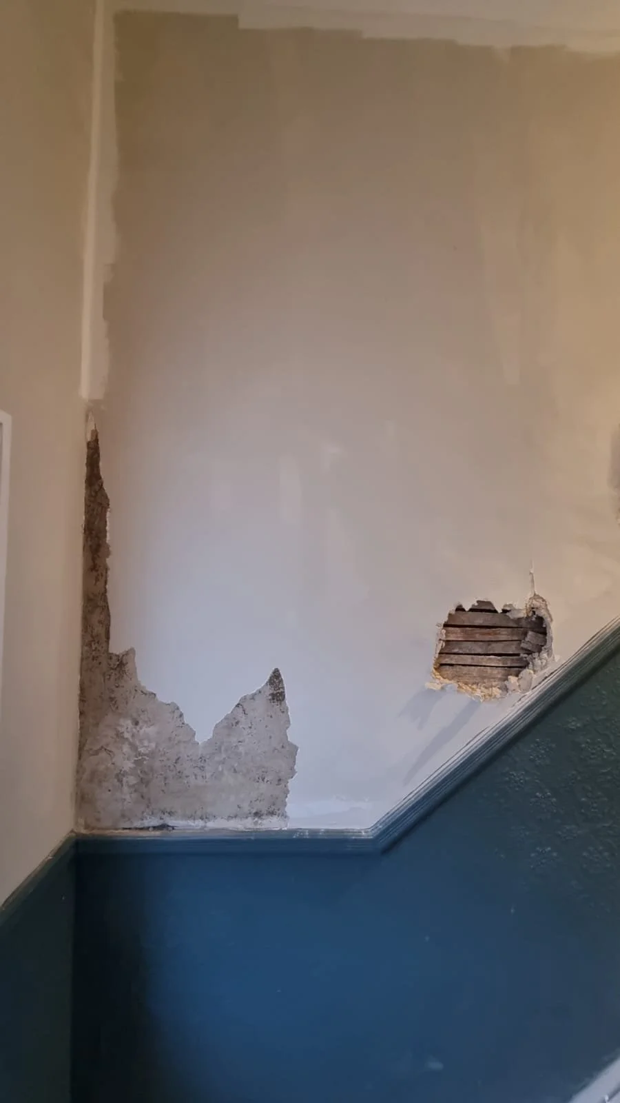 WhatsApp Image 2025-12-30 at 6.10.41 PM.jpeg