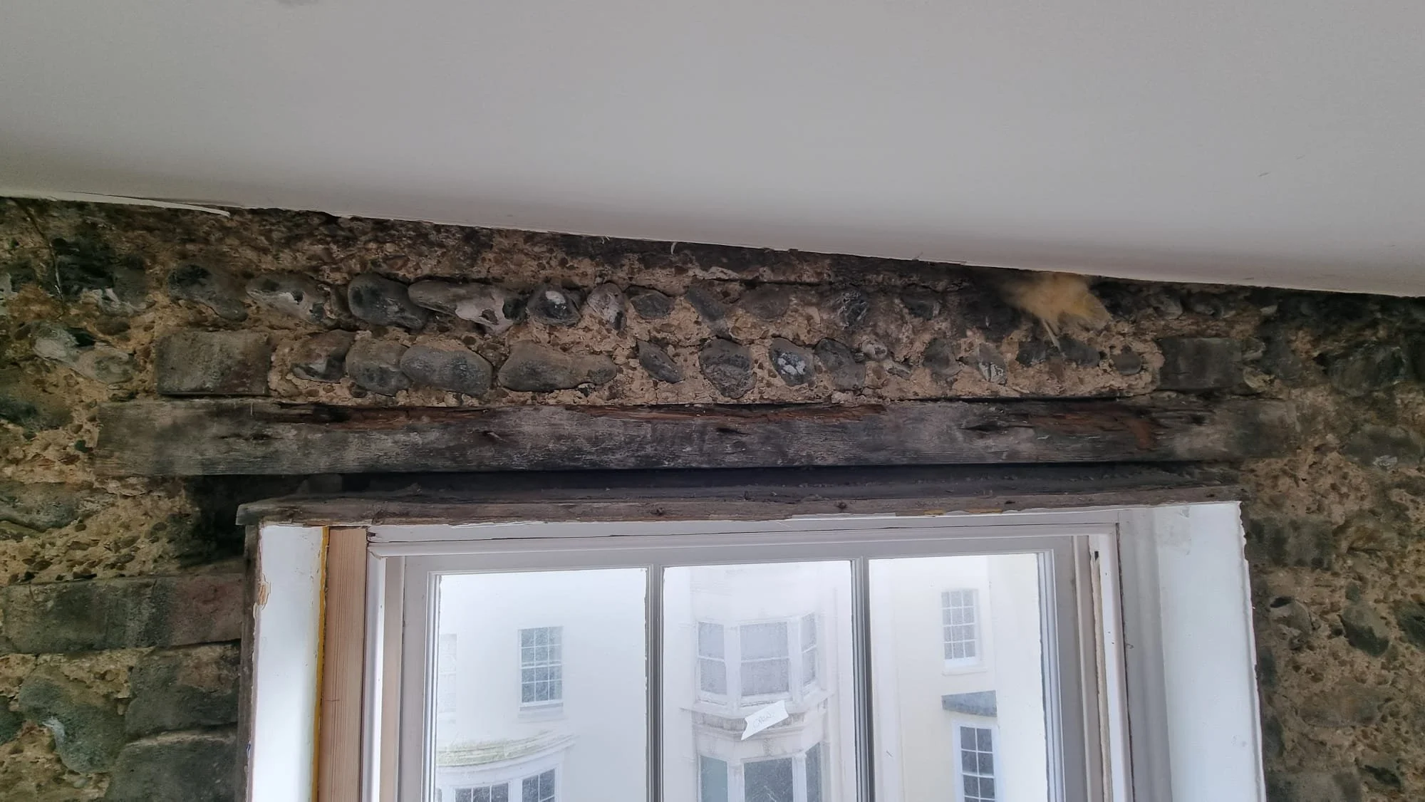 WhatsApp Image 2026-01-17 at 9.08.58 PM (8).jpeg