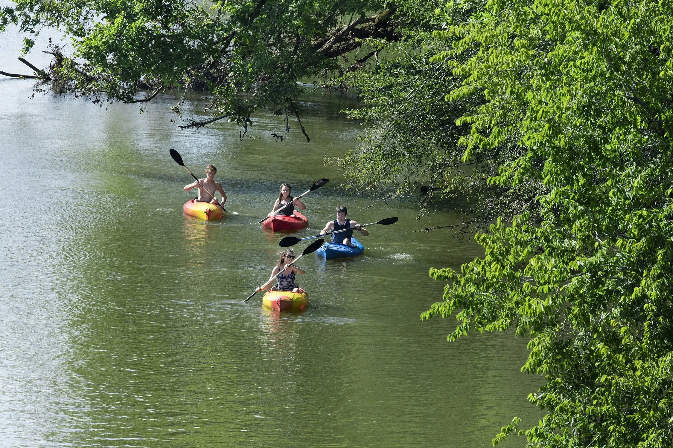 A group of kayakers enjoy a paddle down the Neuse River near Clayton.