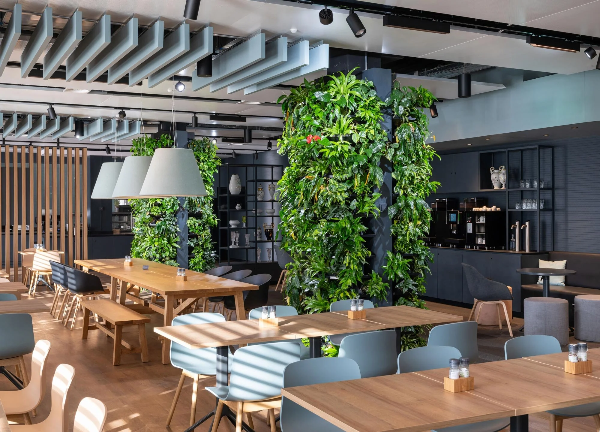Innenaufnahme eines modernen Restaurants mit grünen Pflanzen, Holztischen und Stühlen.