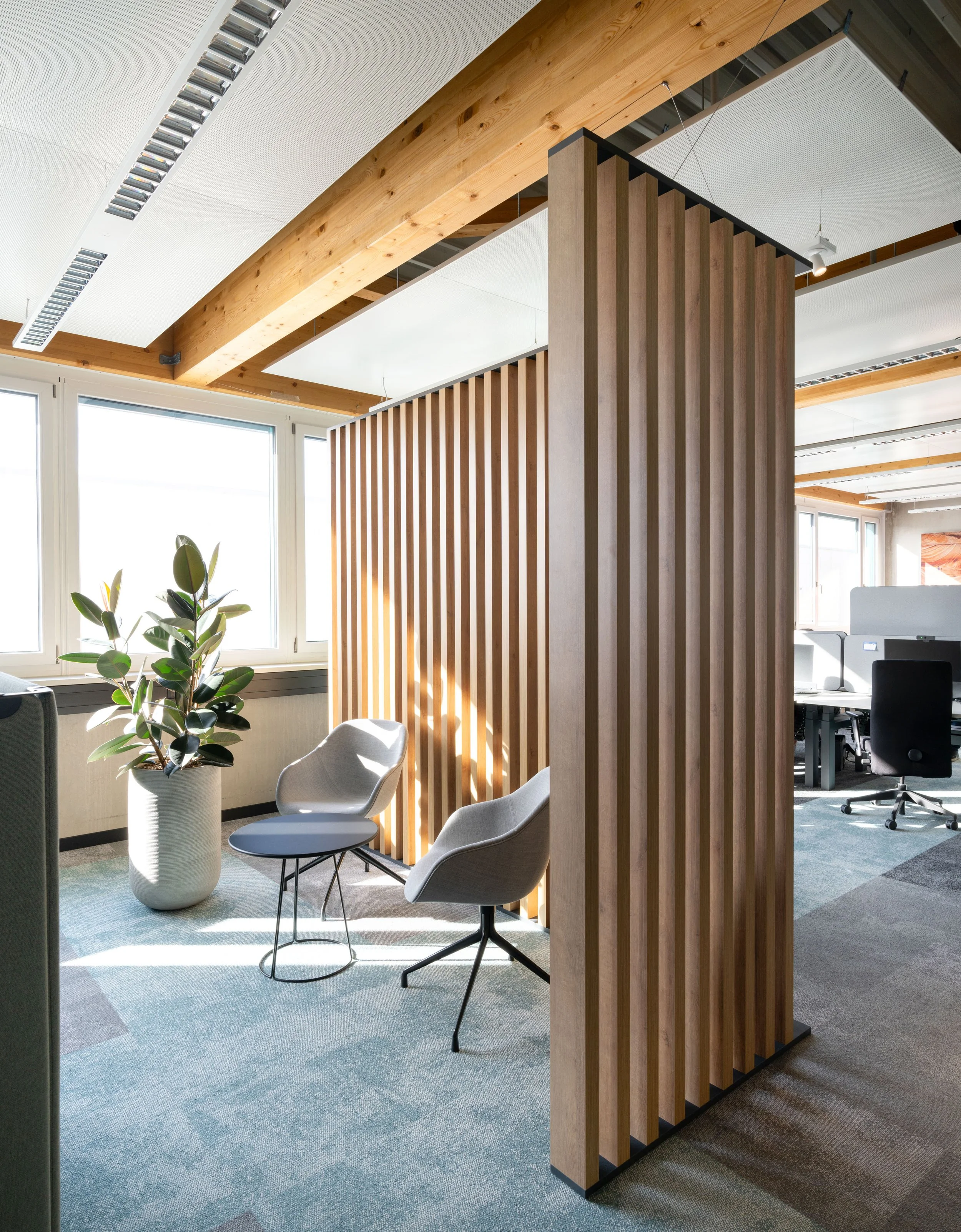 Modernes Büro mit Holztrennwand, weißen Stühlen, Pflanzen und großen Fenstern, offene Arbeitsbereiche und natürliches Licht.