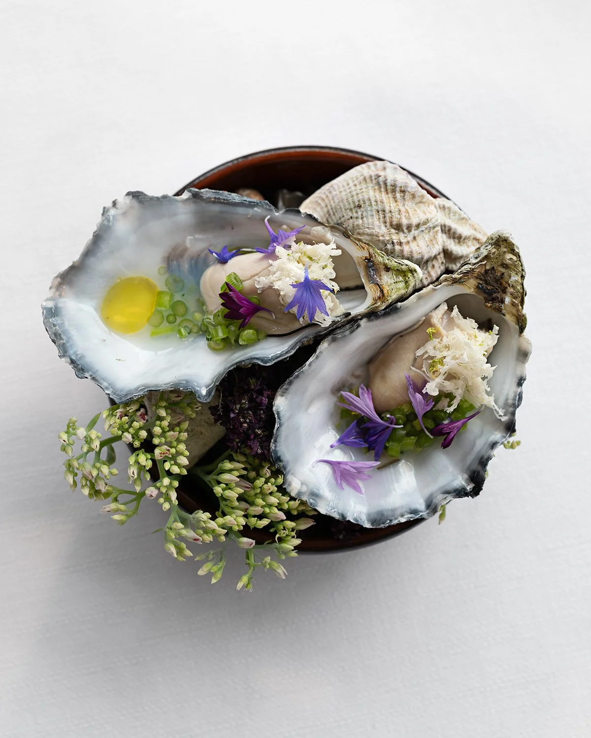 4 Aug 2025 · Falsled Kro ©Victoria Lagnehag-47 vs2.jpg