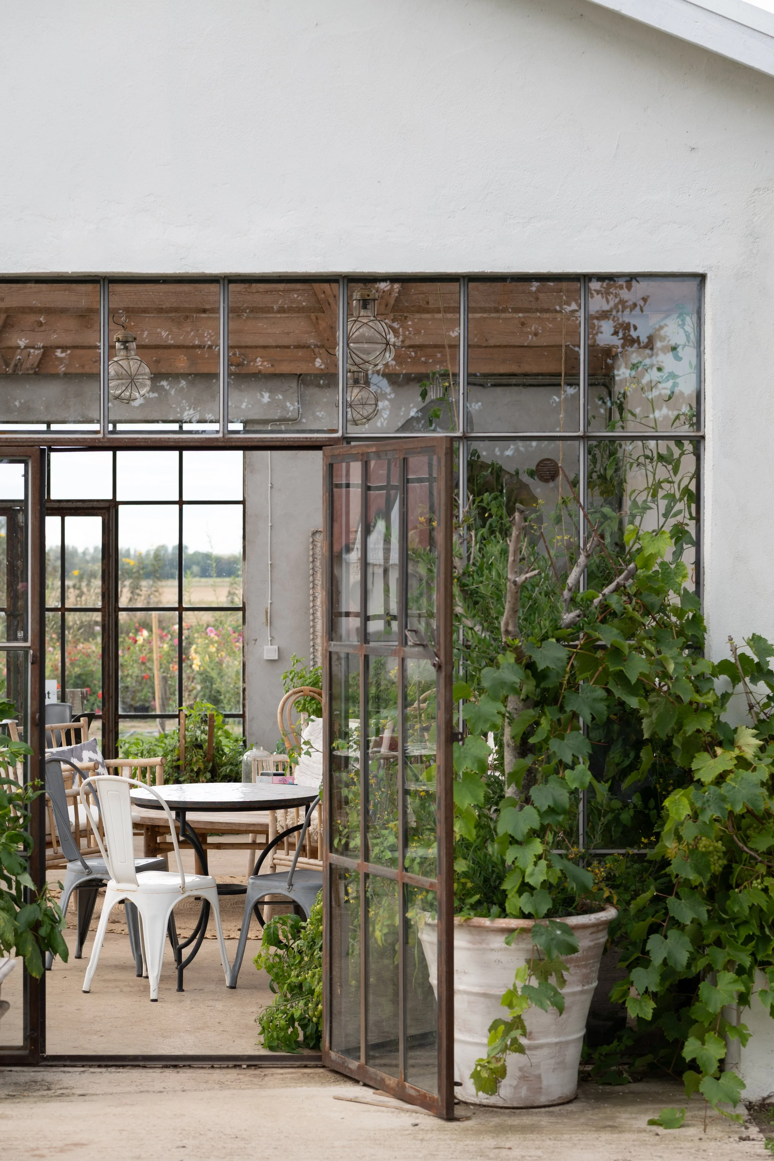 Dahlia Farm · 28 Sept 2025 ©Victoria Lagnehag-16.jpg