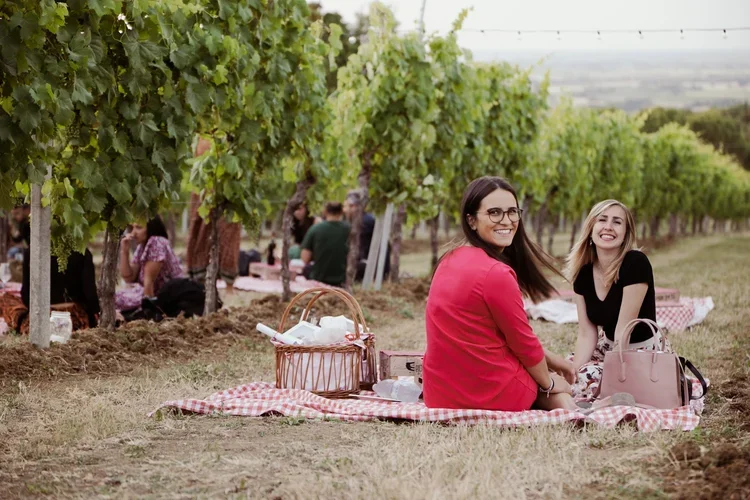 Events_Wine_Tasting_Picnic_6.webp