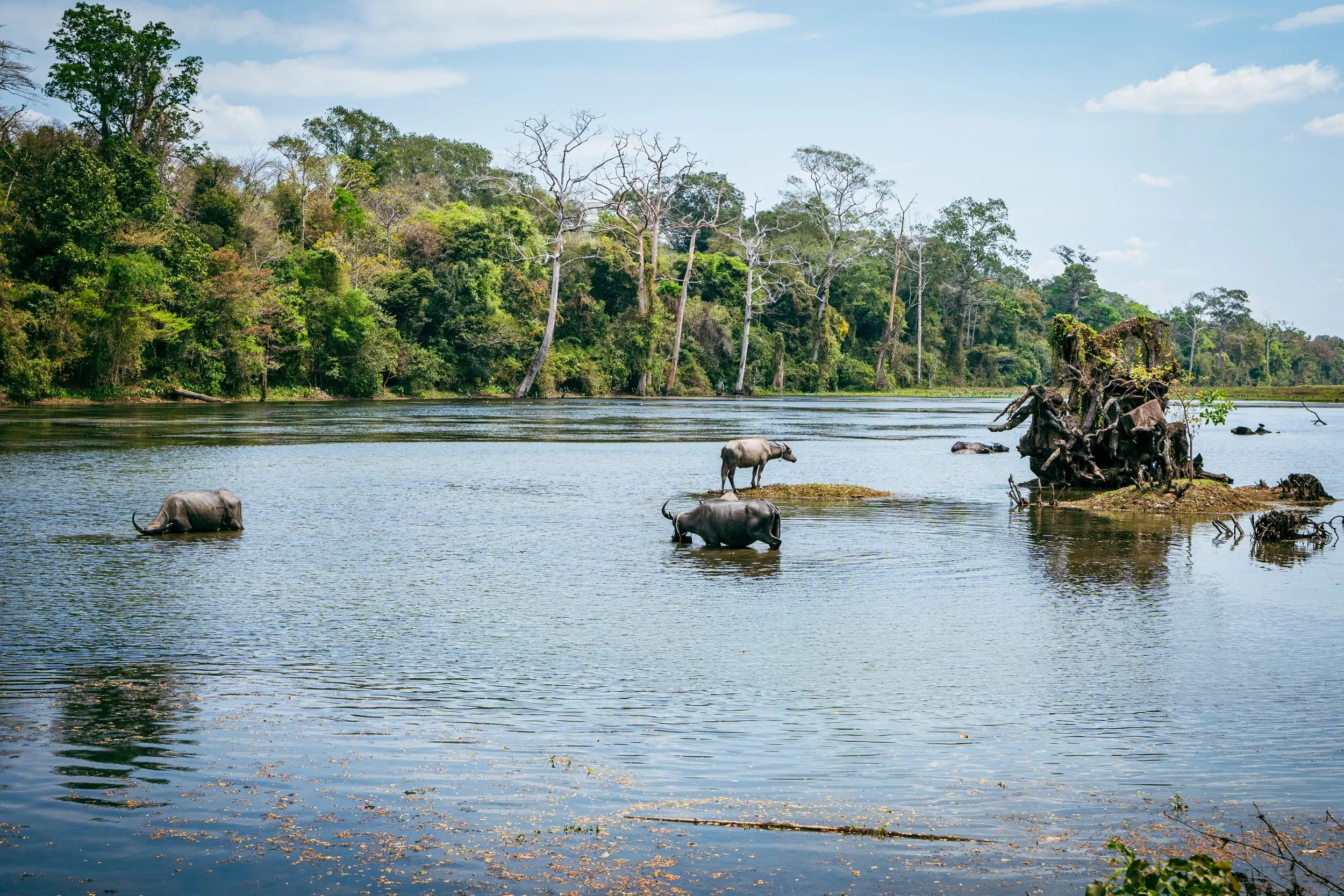 Travel Photography. Cambodia