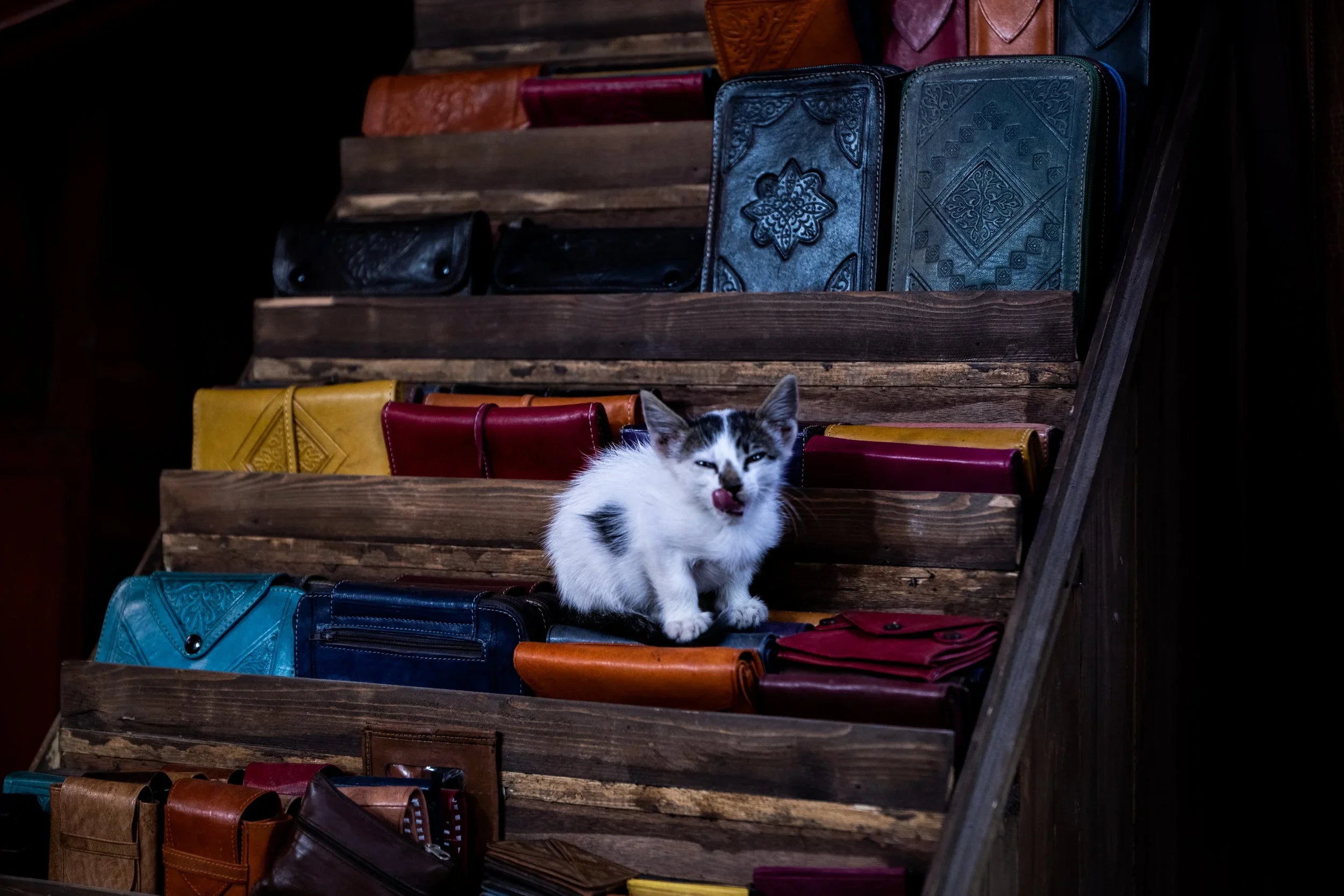 Travel Photography. Morocco