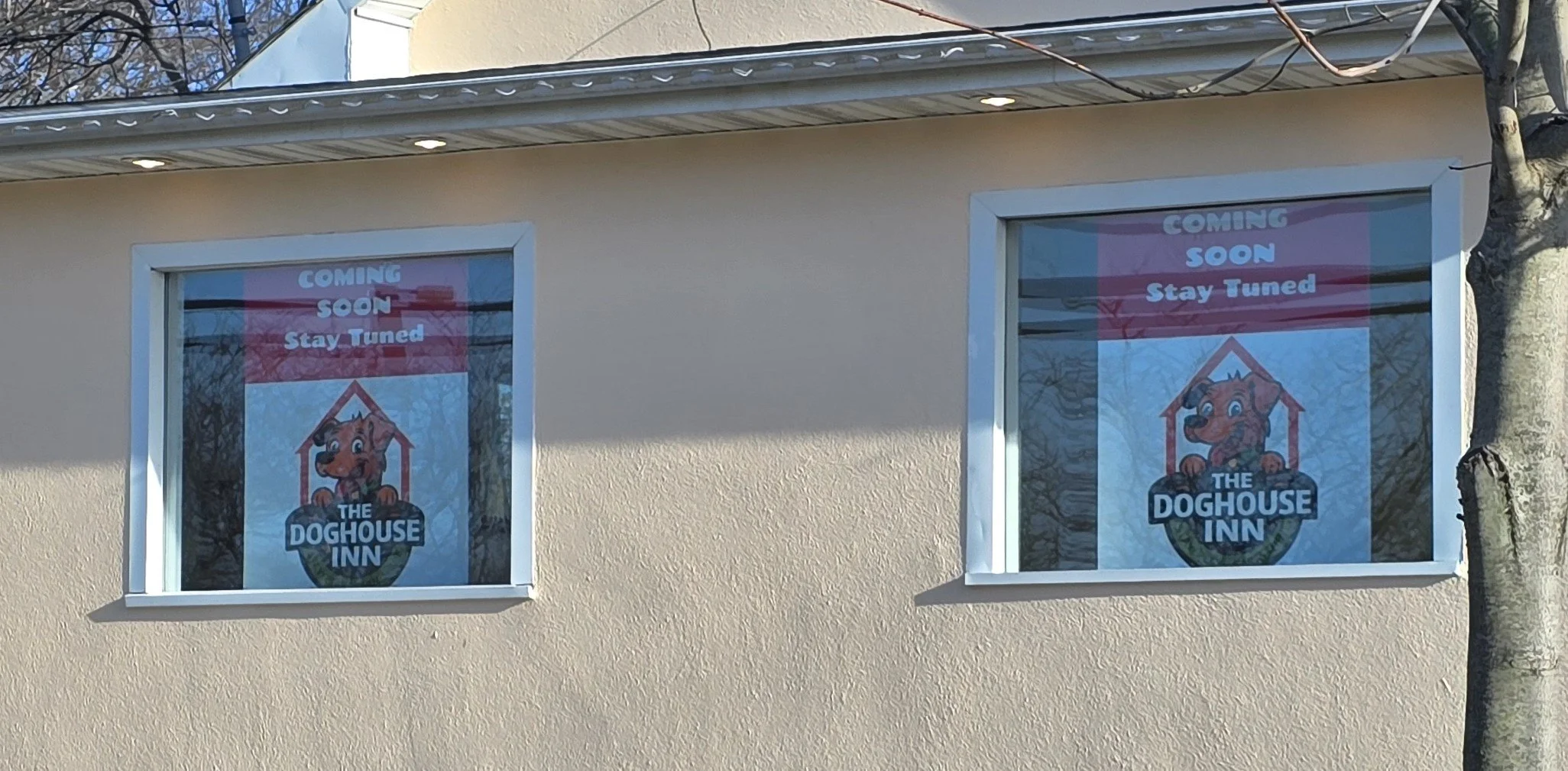Two windows on a beige building with signs reading "Coming Soon Stay Tuned" and featuring a cartoon dog mascot for "The Doghouse Inn."