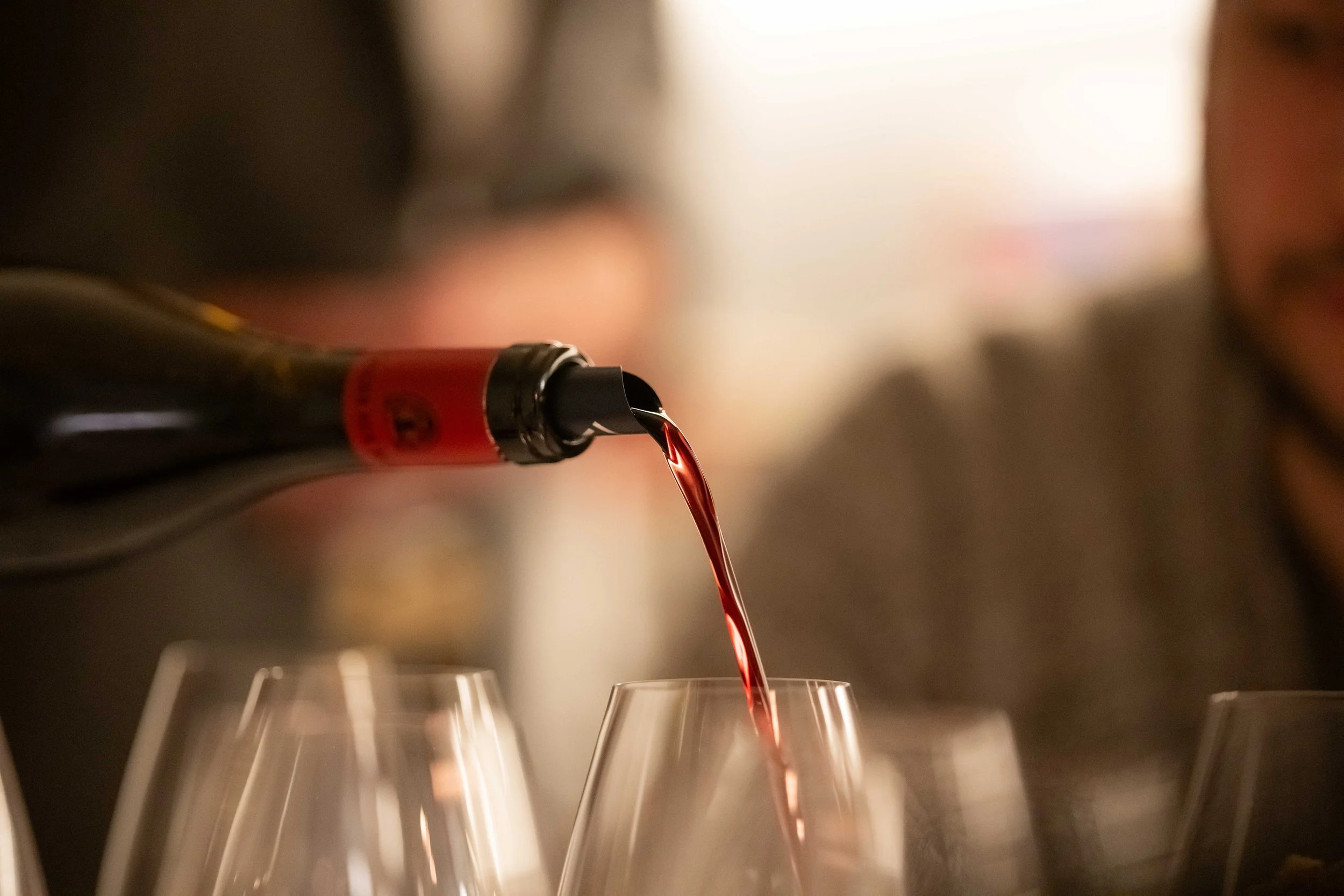 Wine Tasting featuring mets et vin by Chez Calvo and Valeria Skubrii