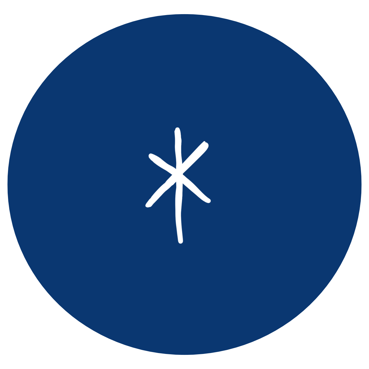 A dark blue circular background with a white star in the center.
