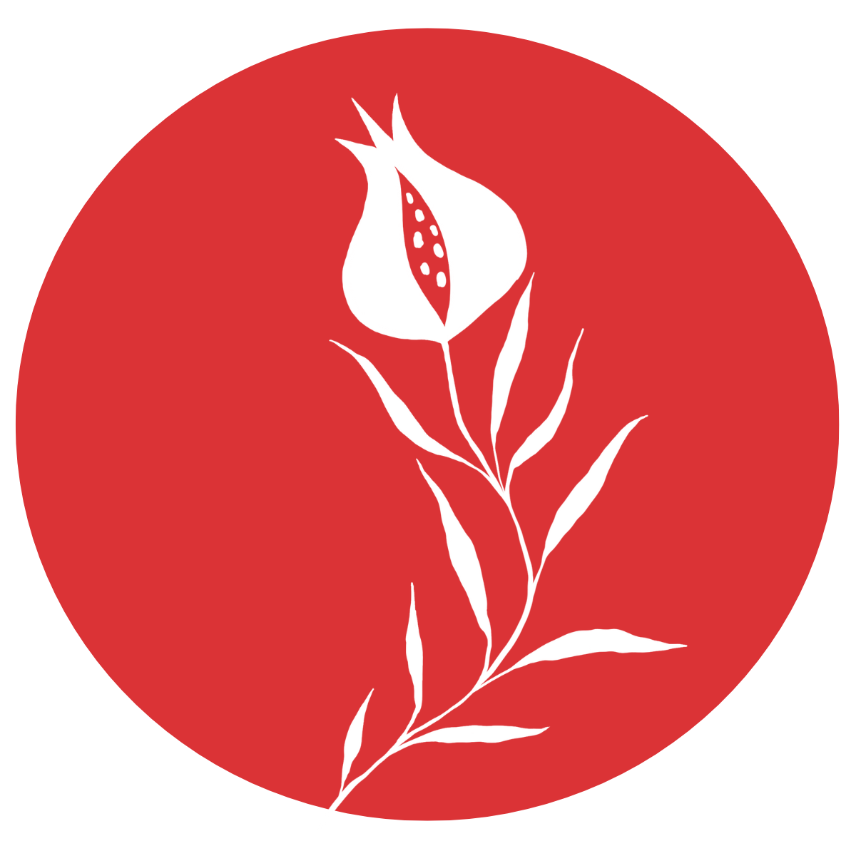 White botanical illustration of a pomegranate with leaves on a red circular background.