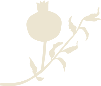 Silhouette of a pomegranate fruit on a branch with leaves.