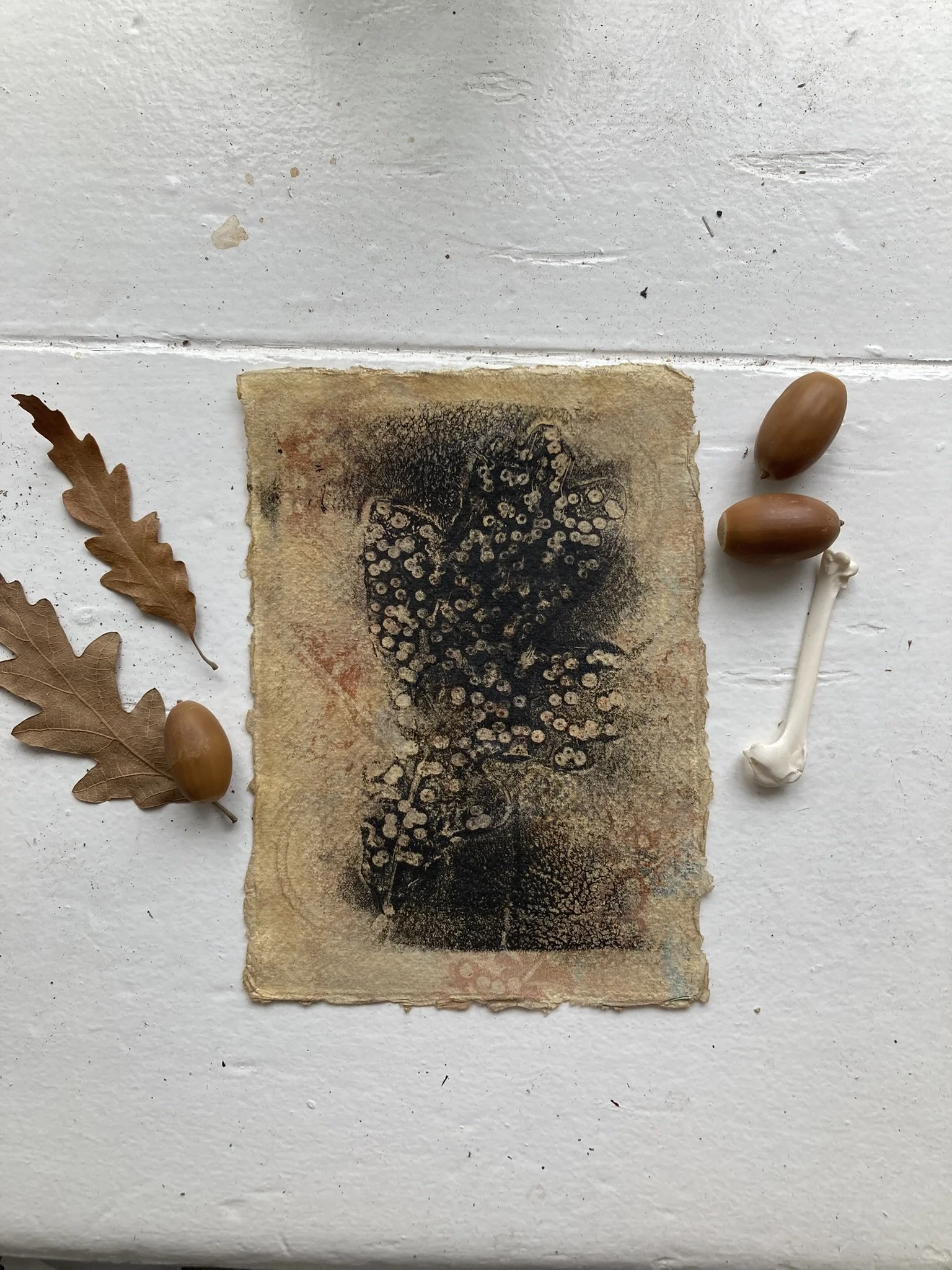 Oak Leaf with Galls - tiny original artwork