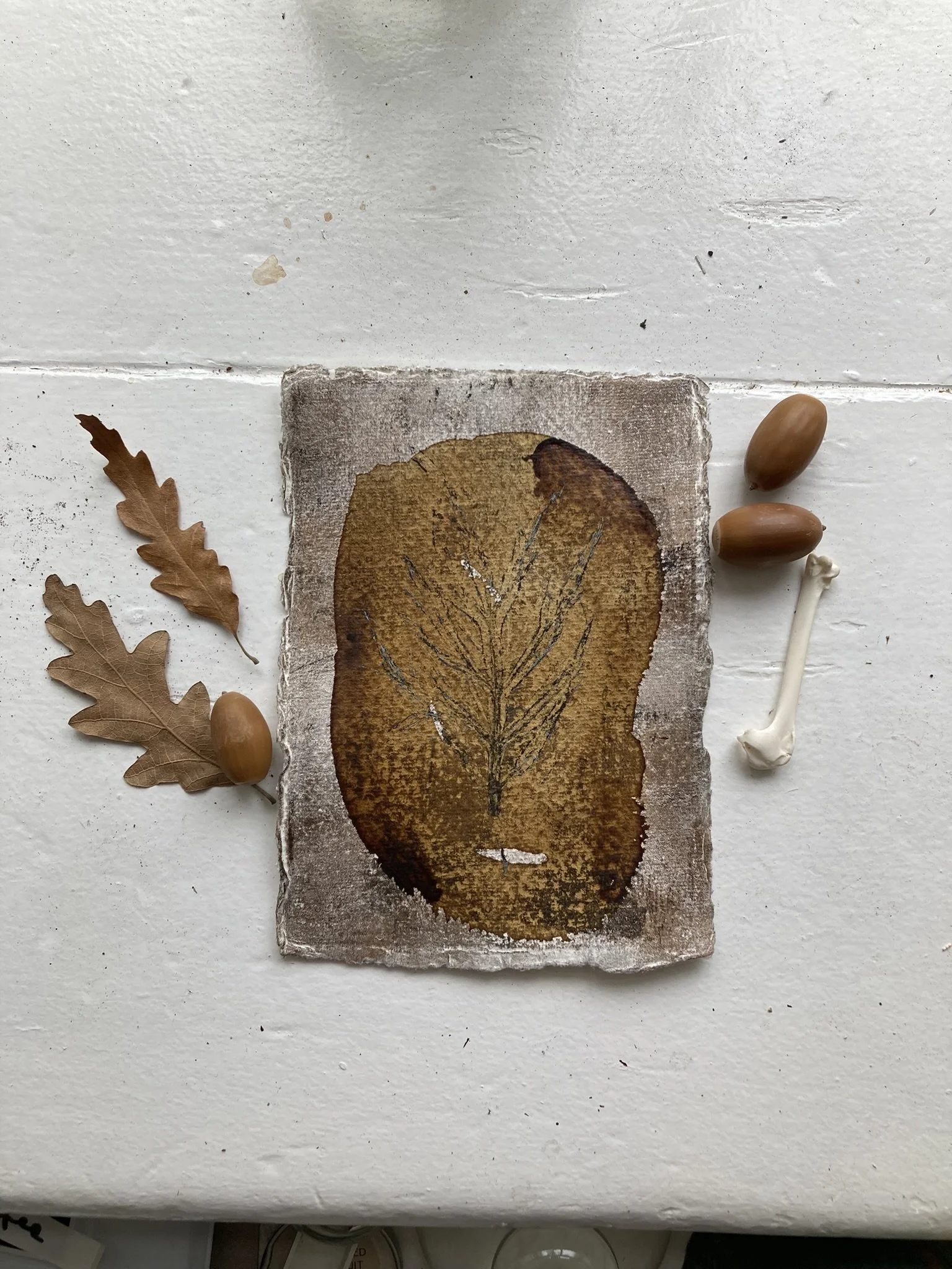 Mugwort print II - tiny original artwork