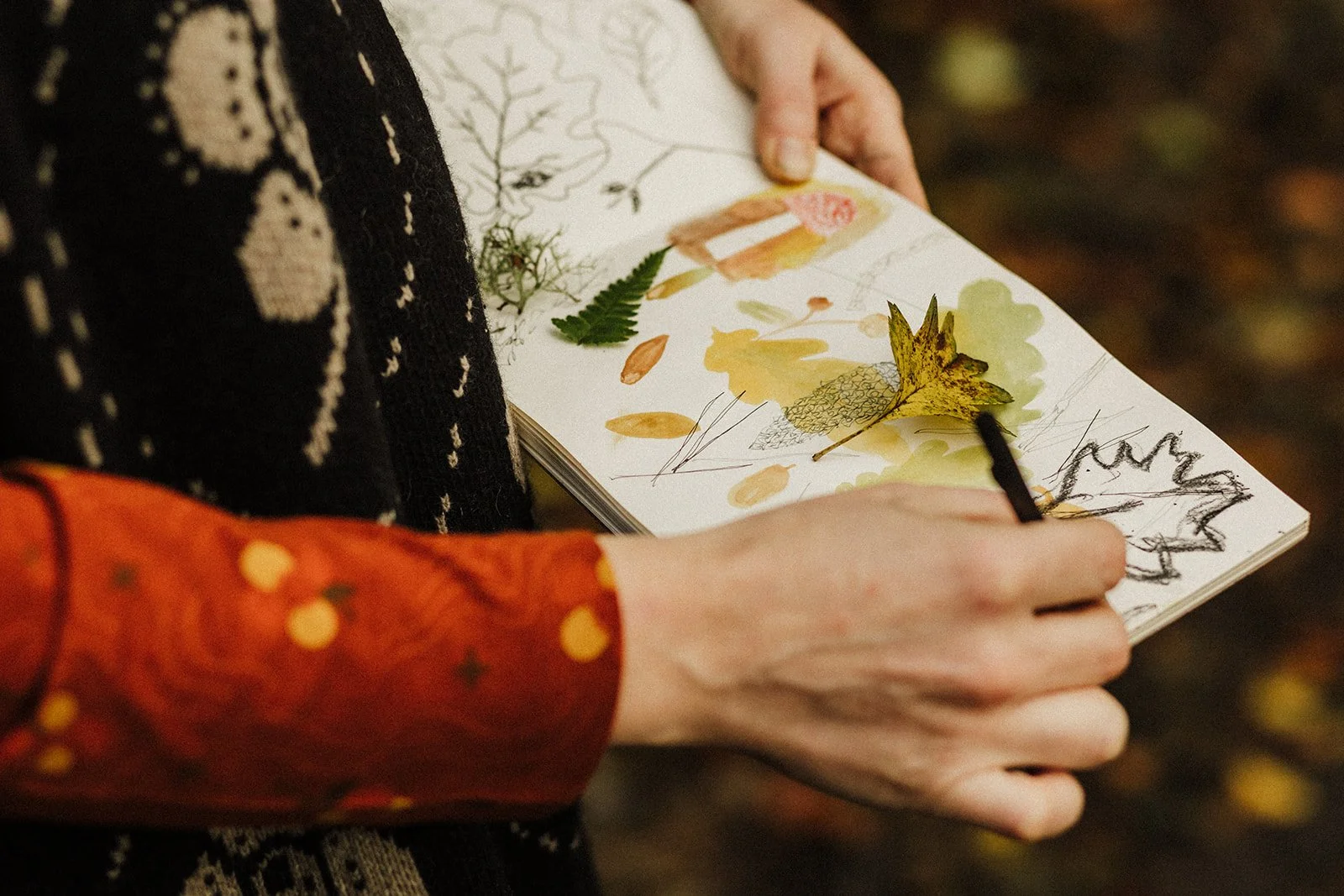 A woman drawing autumn leaves and botanical sketches in a sketchbook, outdoors.
