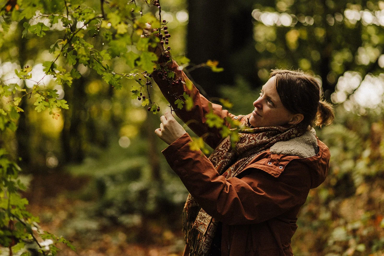 Wild Revival Membership