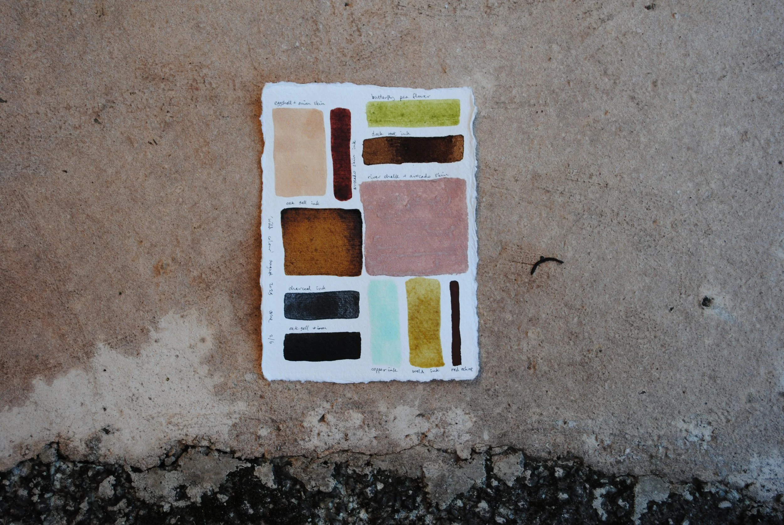 colour palette 1.JPG