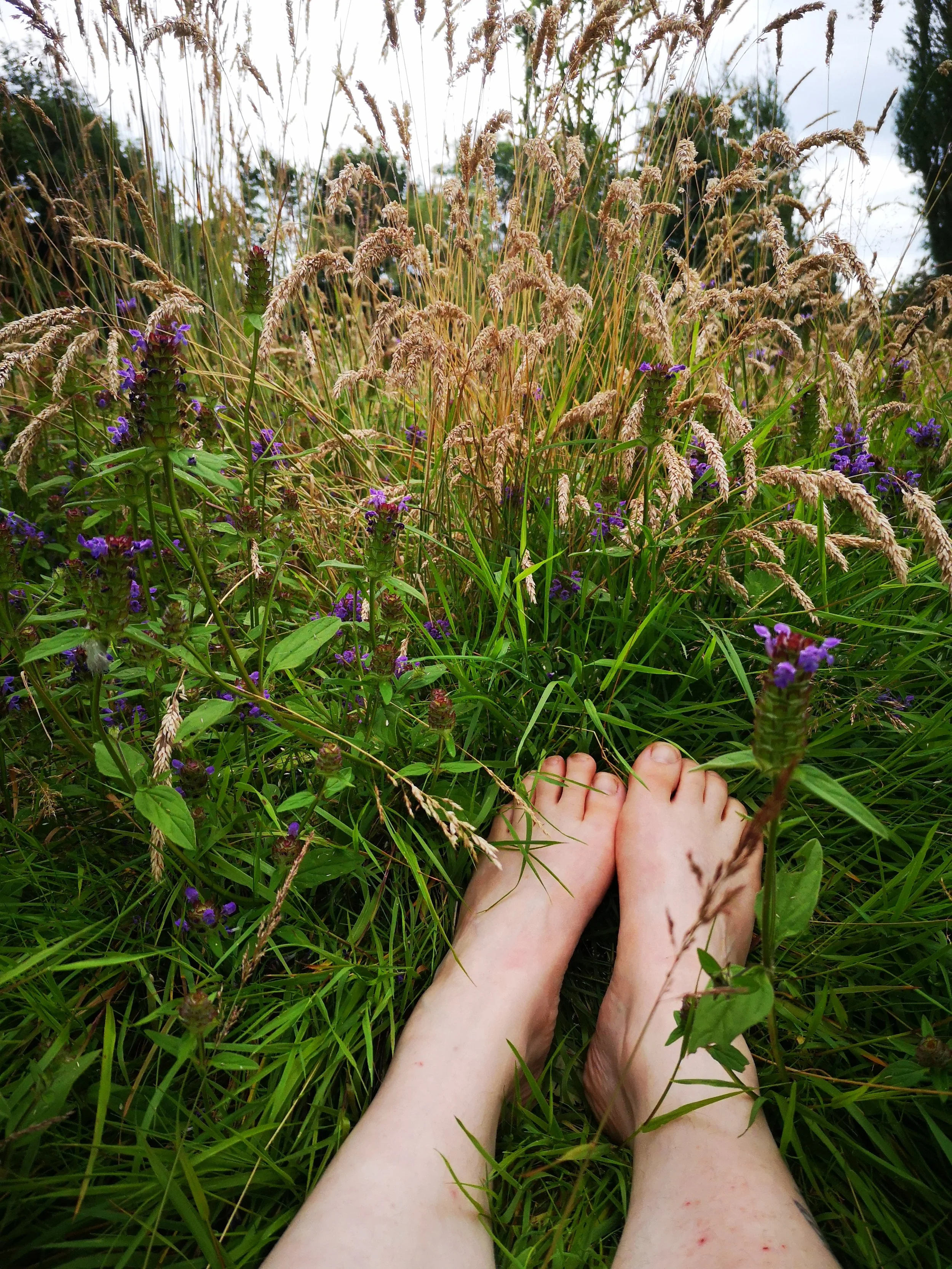 A person's bare feet in tall green grass and purple wildflowers during daytime.