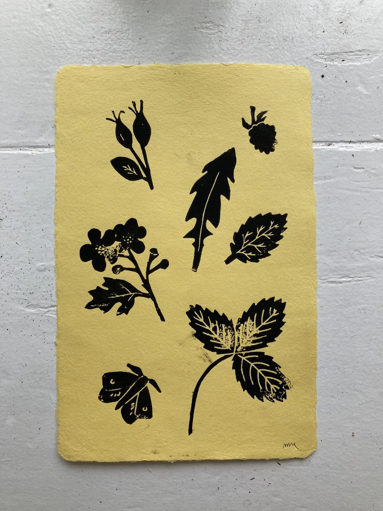Foraging Print - Yellow