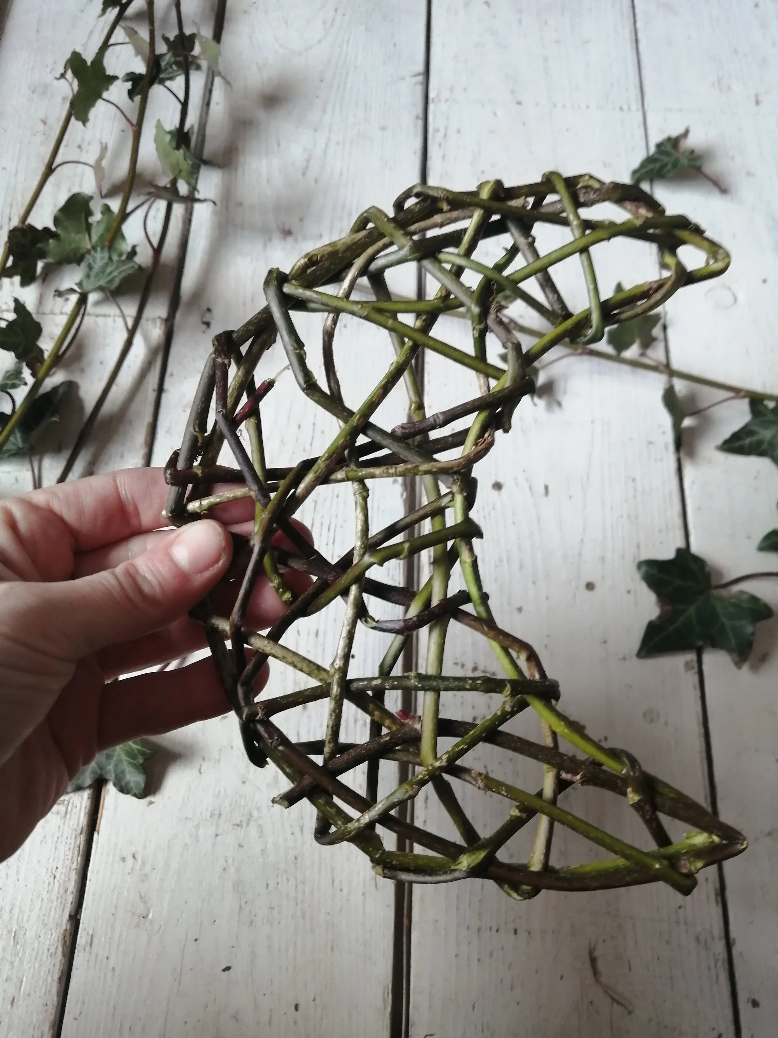 A hand holding a woven ivy-vine crescent moon with ivy leaves in the background and a white wooden surface underneath.