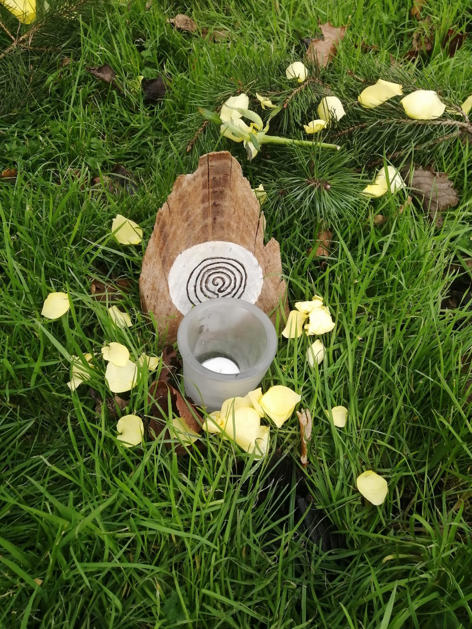 Earth altar setup in a grassy area with yellow flower petals, a vertical piece of wood with a white spiral pattern, and a glass candle holder.