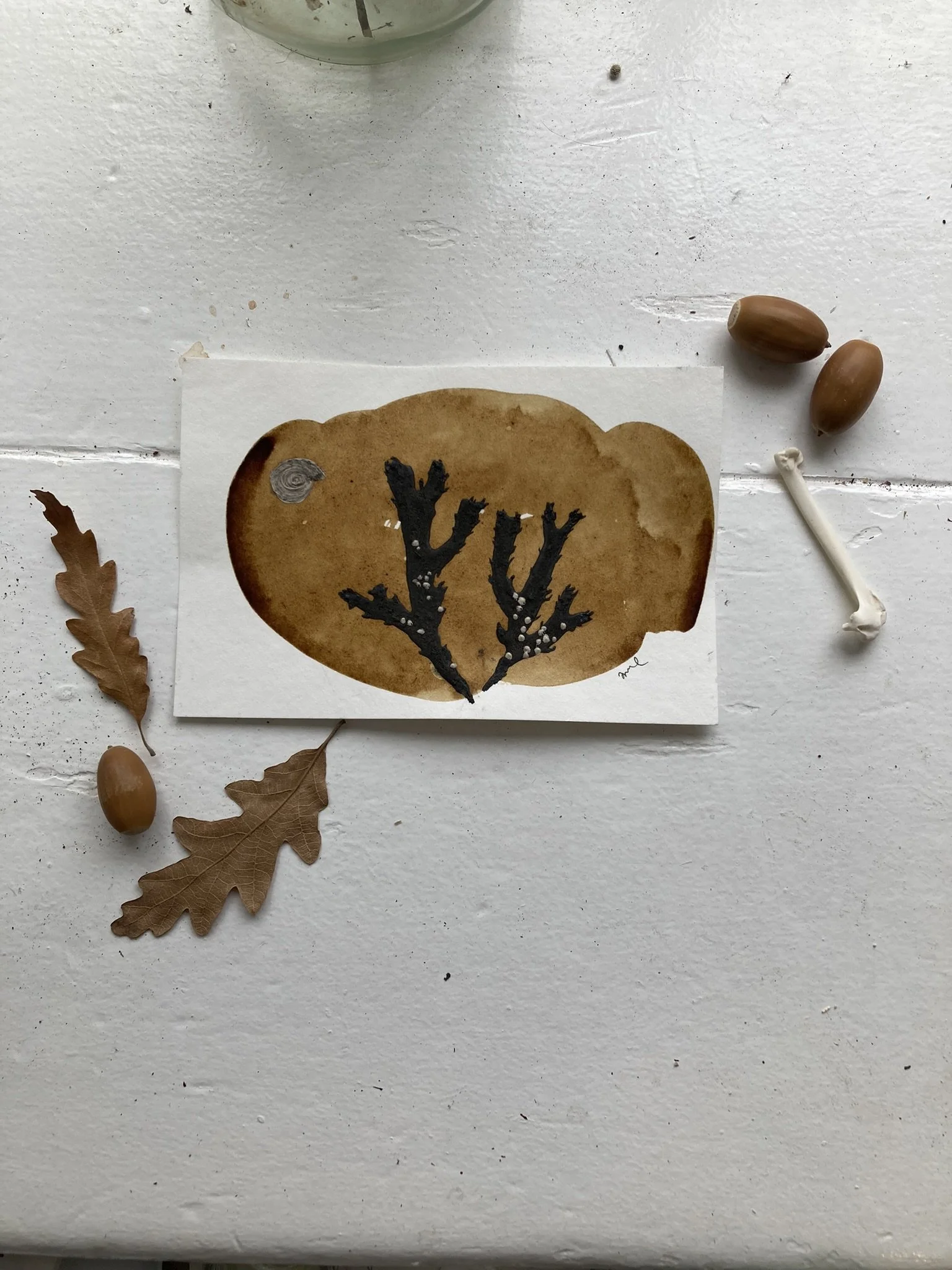 Seaweed - Original Artwork