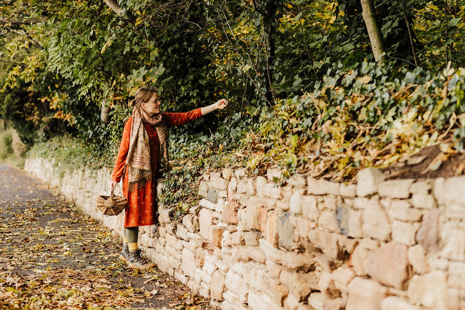 A woman in an orange and scarf is reaching over a stone wall to pick berries, holding a small woven basket, surrounded by autumn leaves.