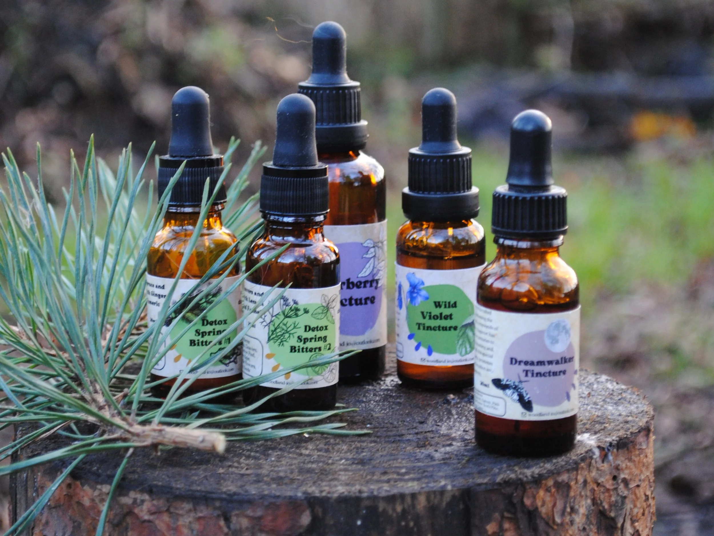 Bottles of herbal remedies in brown glass jars outside in the forest