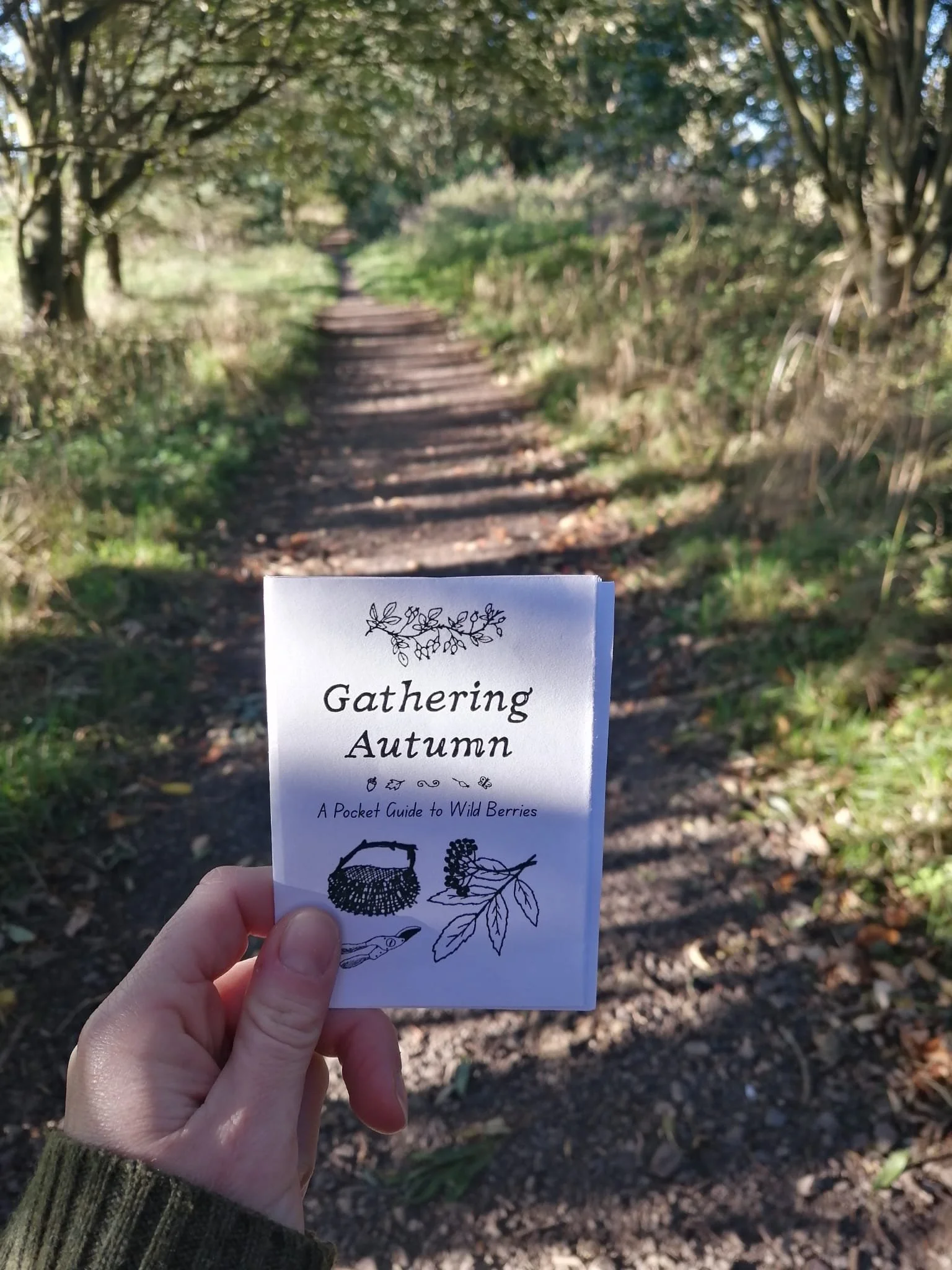 Gathering Autumn Zine