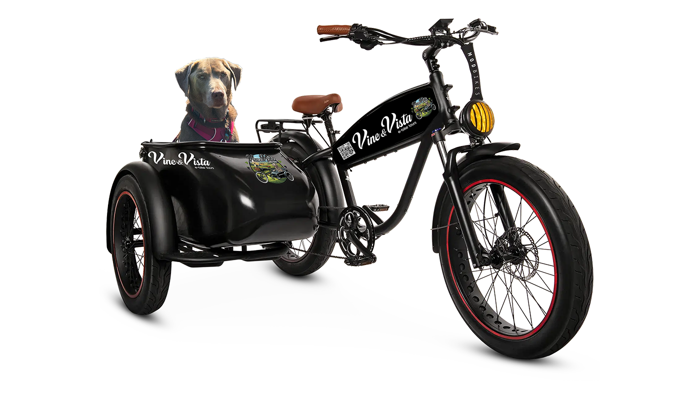 Black electric bike with a dog in a sidecar, bearing the text 'Vine & Vista' and a scenic logo, on a partially colored background.