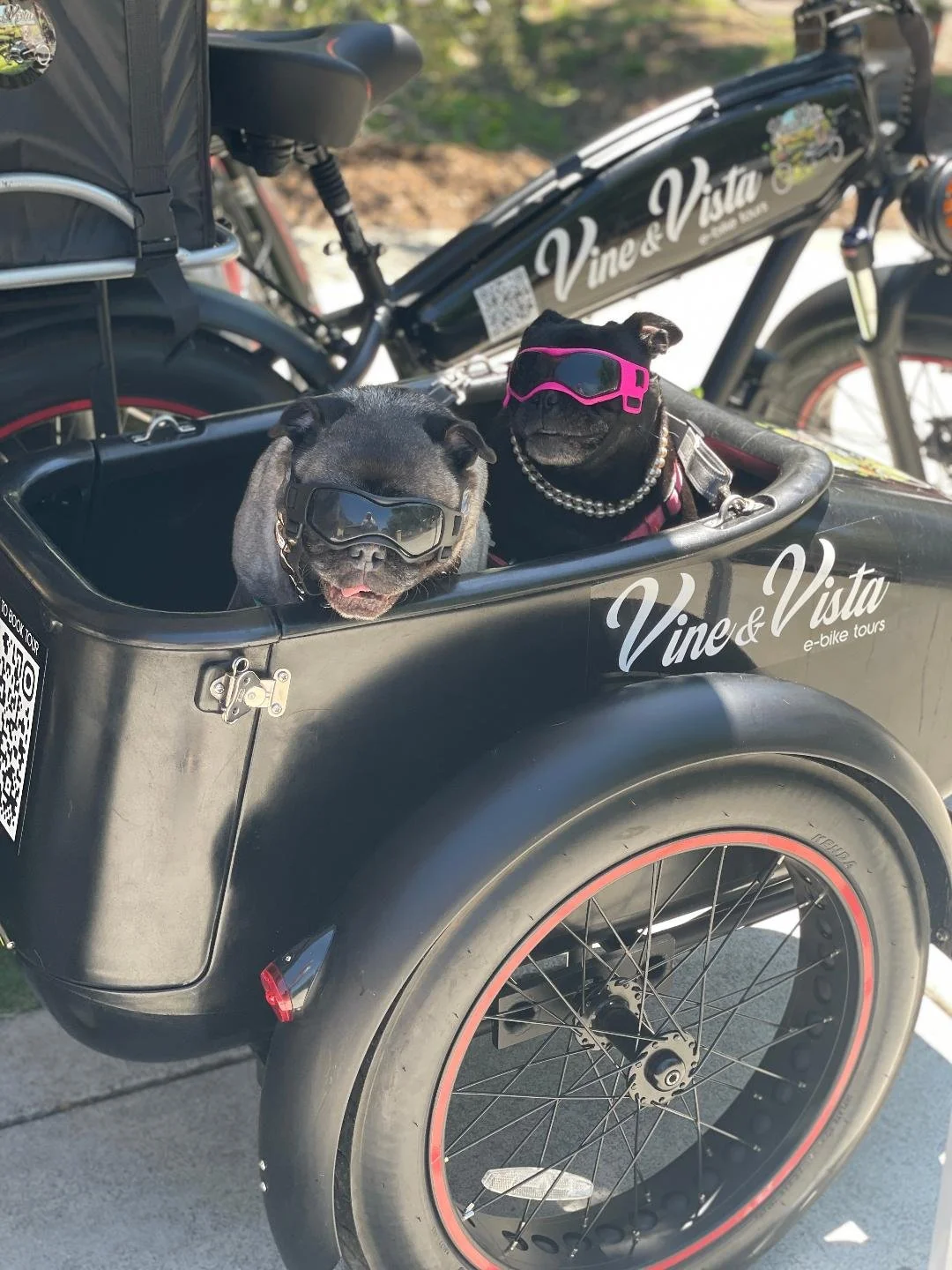 Two dogs wearing sunglasses inside a black bicycle trailer labeled "Vine & Vista e-bike tours," with a black bicycle in the background.