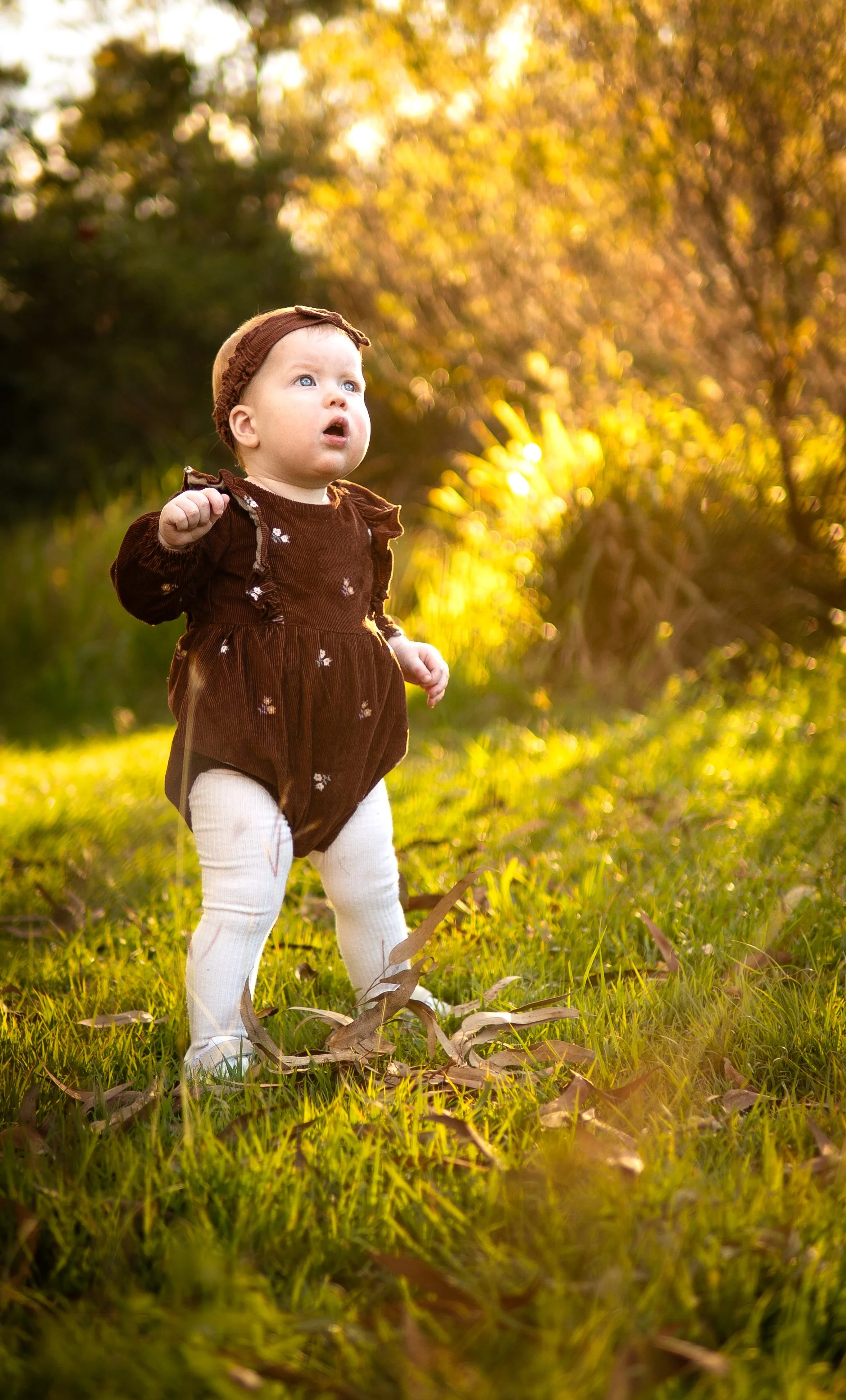 A young child dressed in a brown velvet outfit with white tights, standing outdoors on a grassy area with fallen leaves, looking upward with a curious expression. The background shows trees with yellow and green foliage illuminated by warm sunlight.