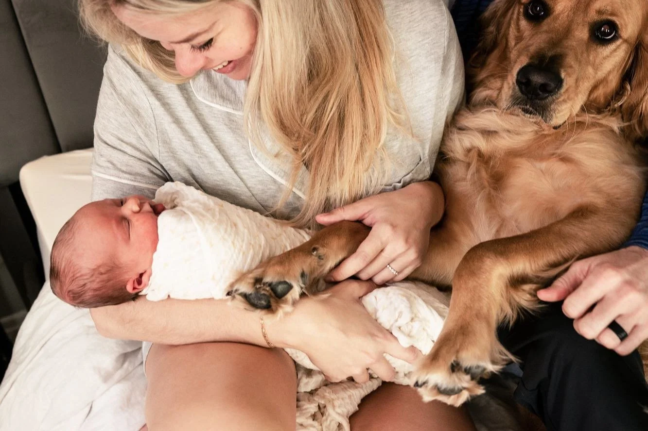 newborn2.jpg