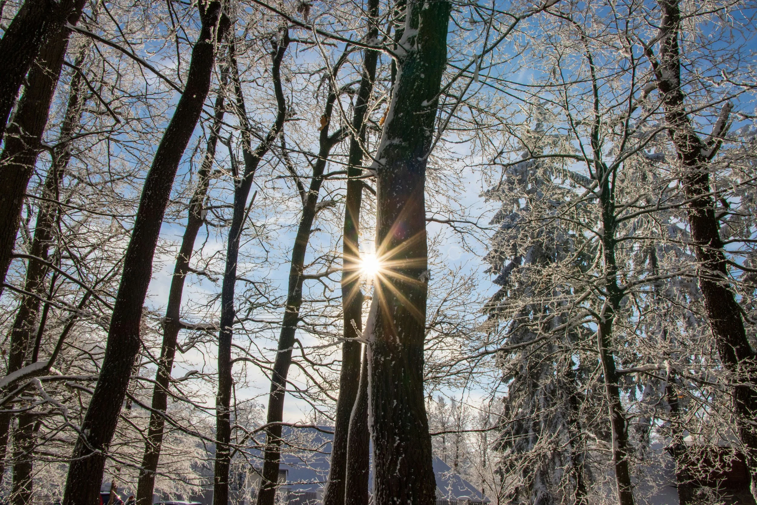 Taizé Ecumenical Prayer Service at the Woods 