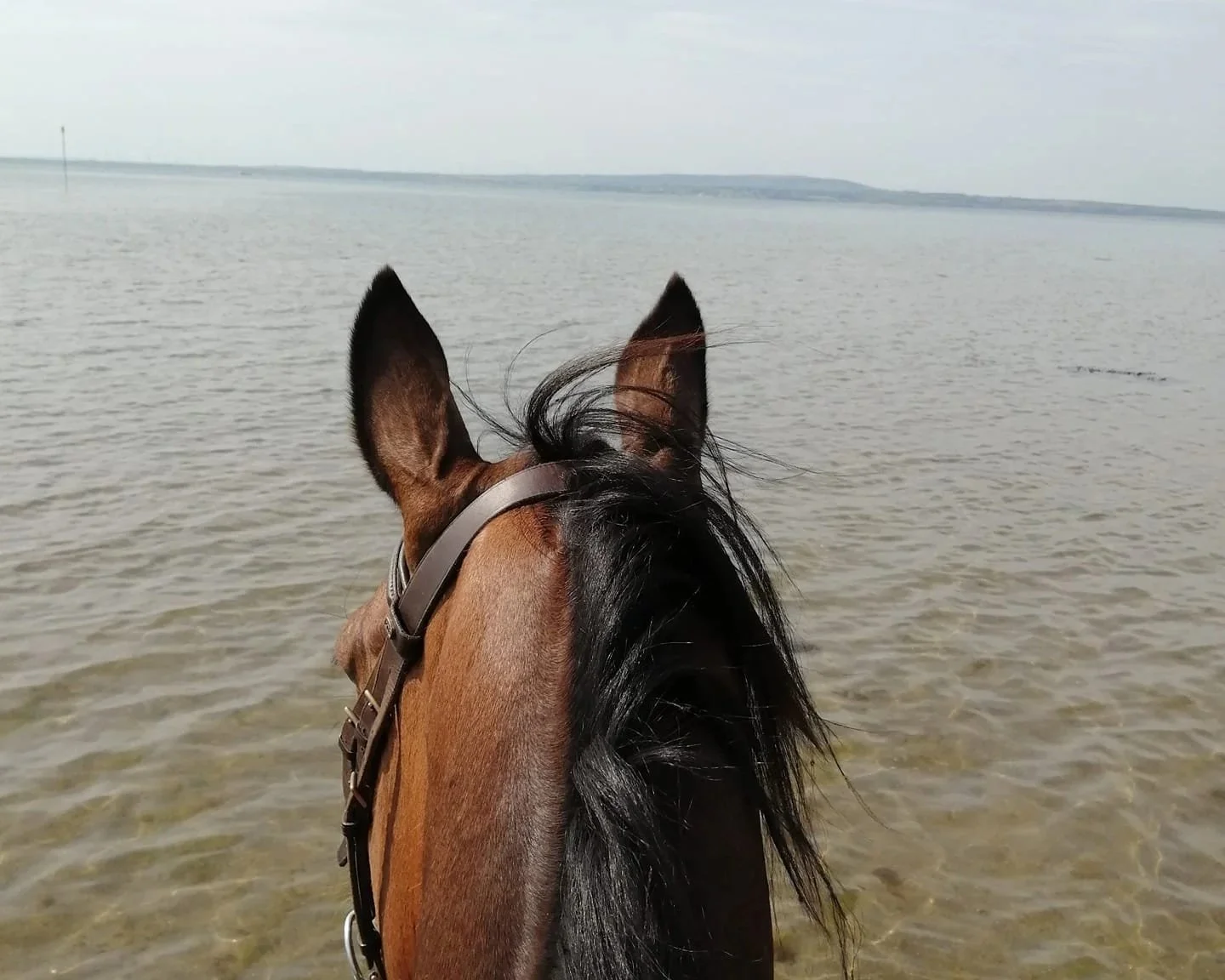 EMBRACING THE NEW…