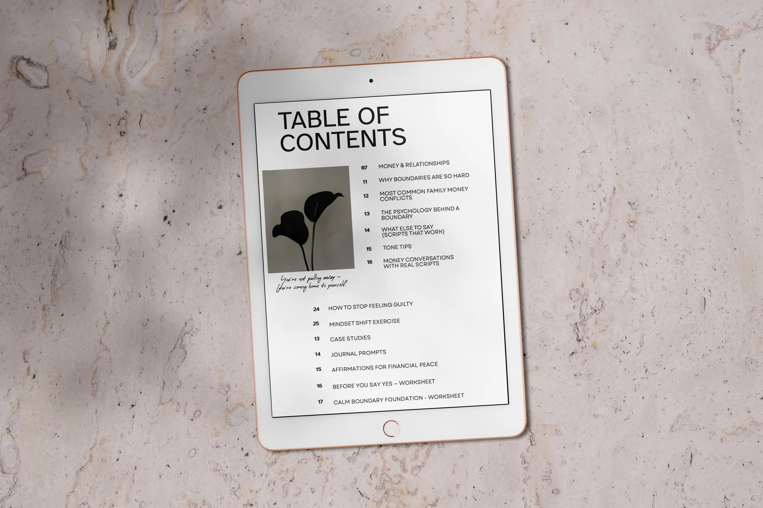 Money&Relationship_Ipad 7.jpg