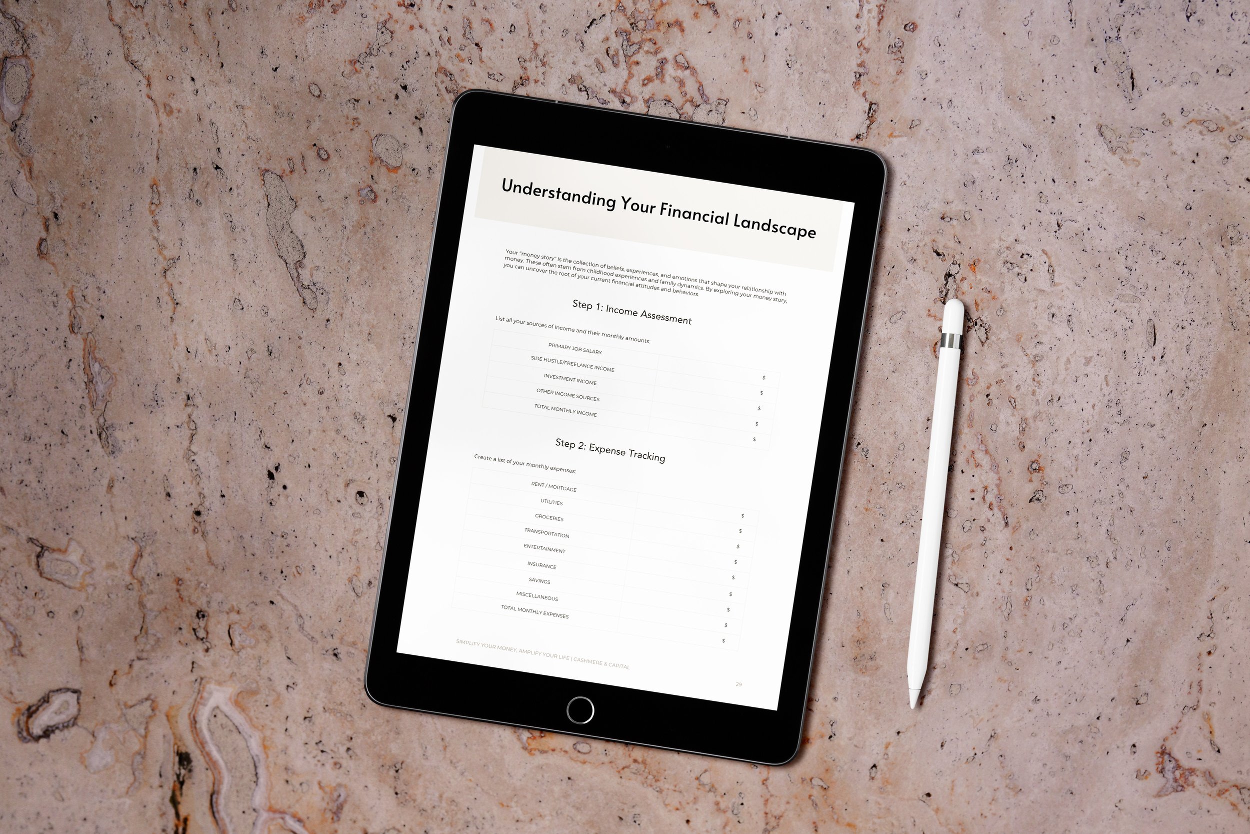 iPad TOC-FinancialLandscape.jpg