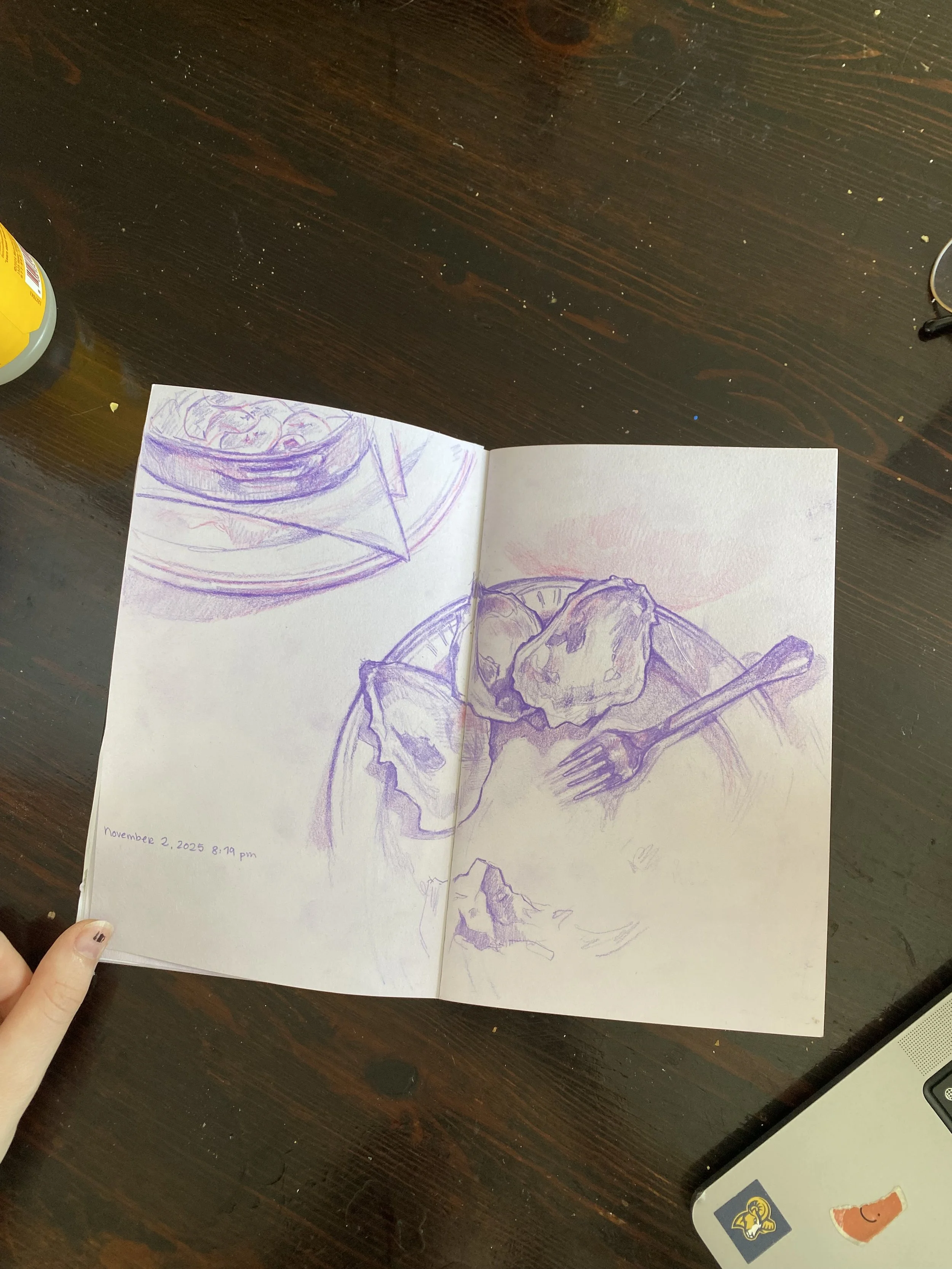 pages from my sketchbook