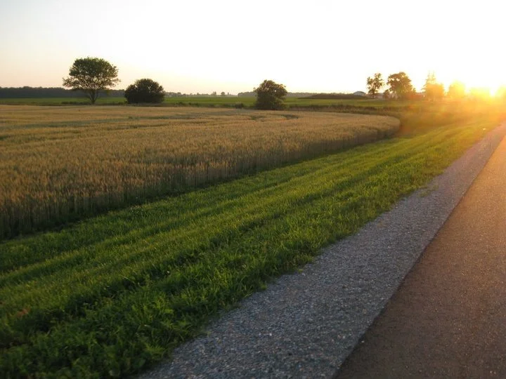 🌾 Quiet Stewardship: Why Whole Life Insurance Matters for Ontario Farmers Now