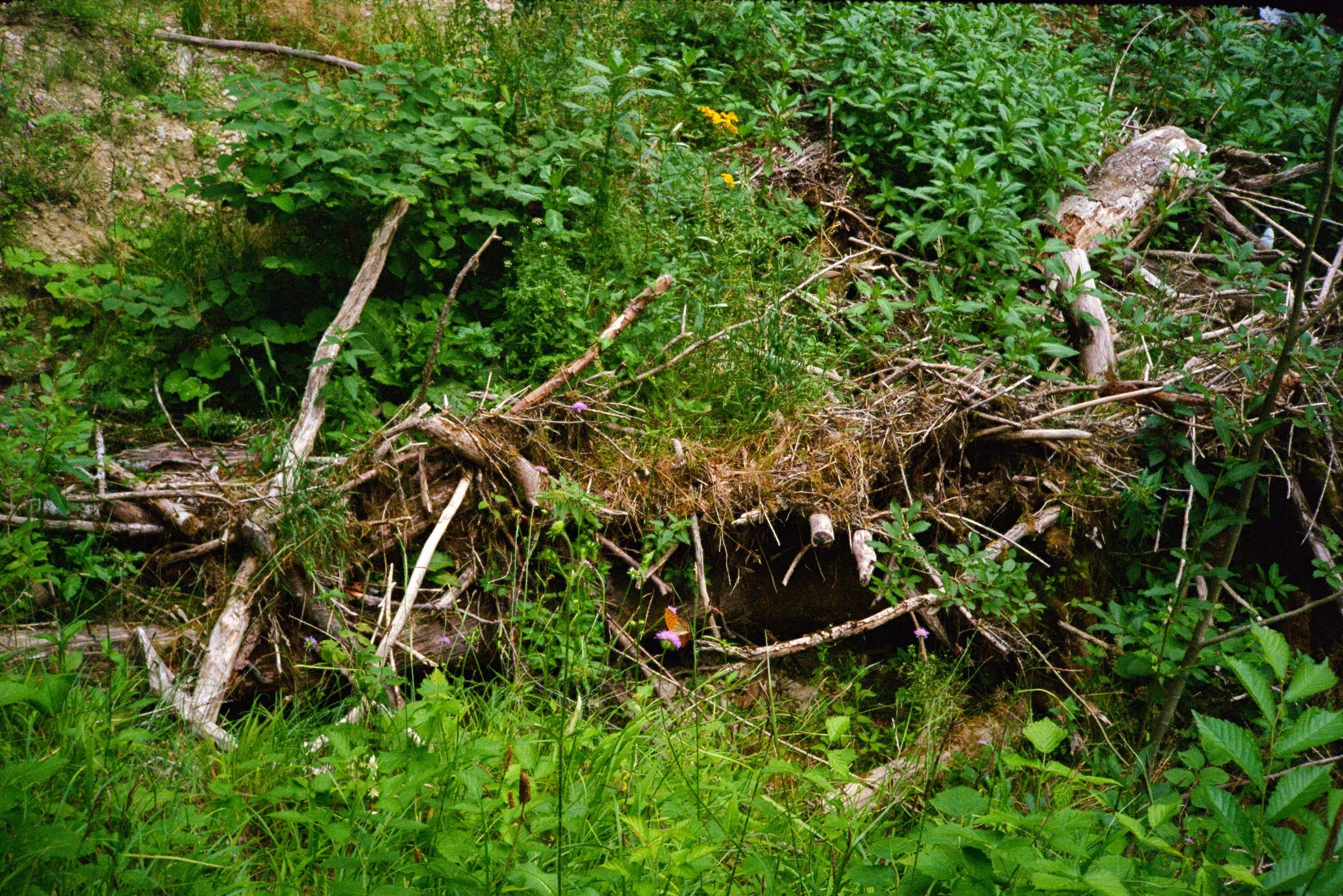 germany photos-46.jpg